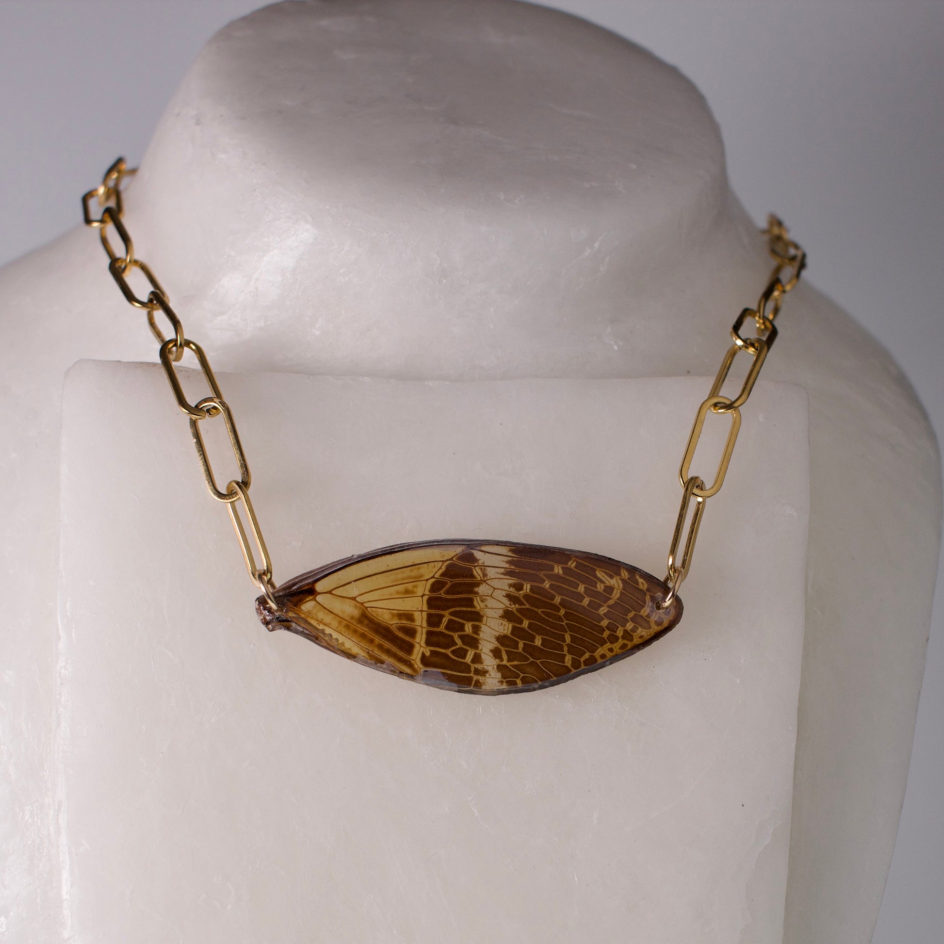 real cicada wing necklace coconut Halloween cicadas gold paperclip chain on wax form