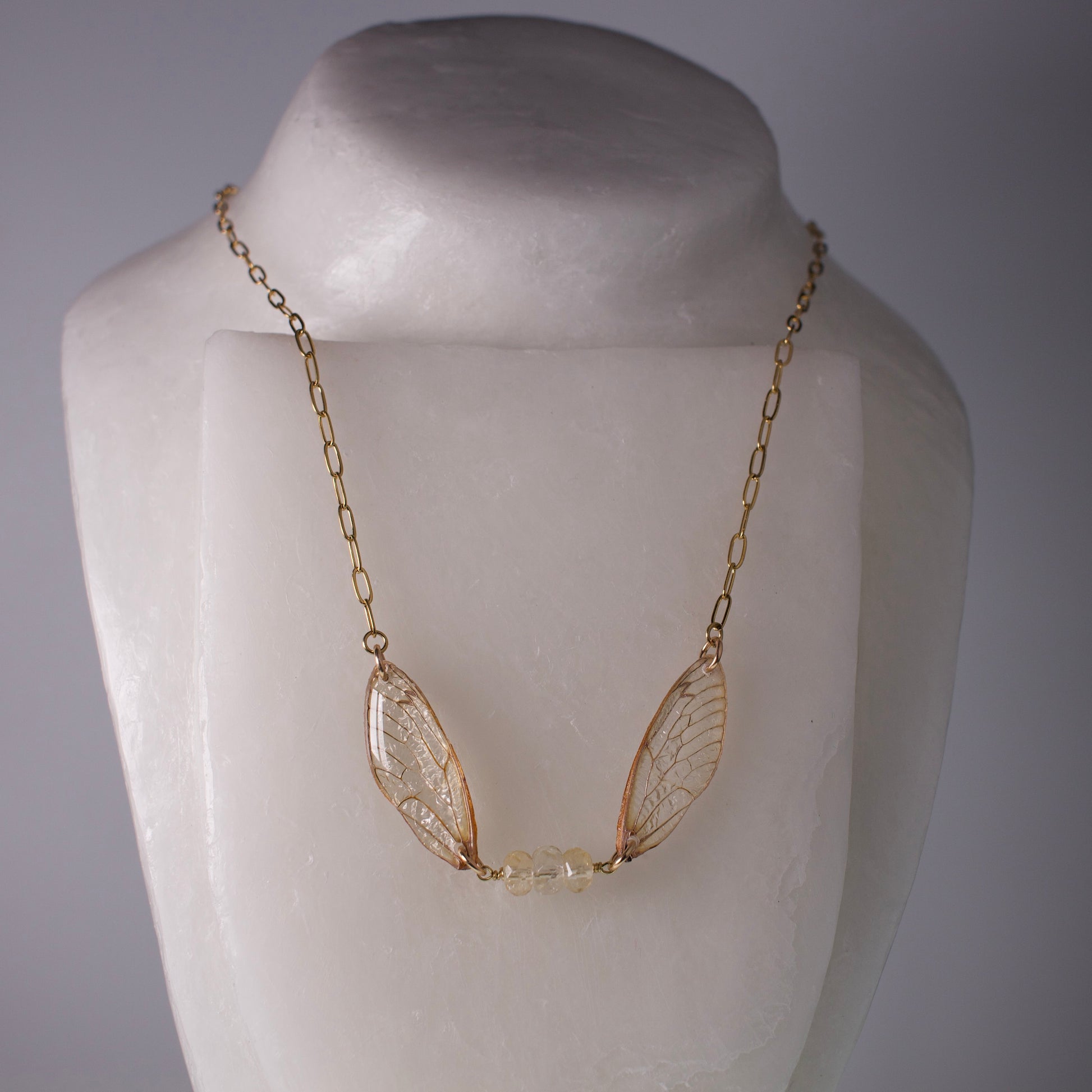 real cicada wing necklace gold 17 year cicadas faceted citrine gold paperclip chain necklace on neck form