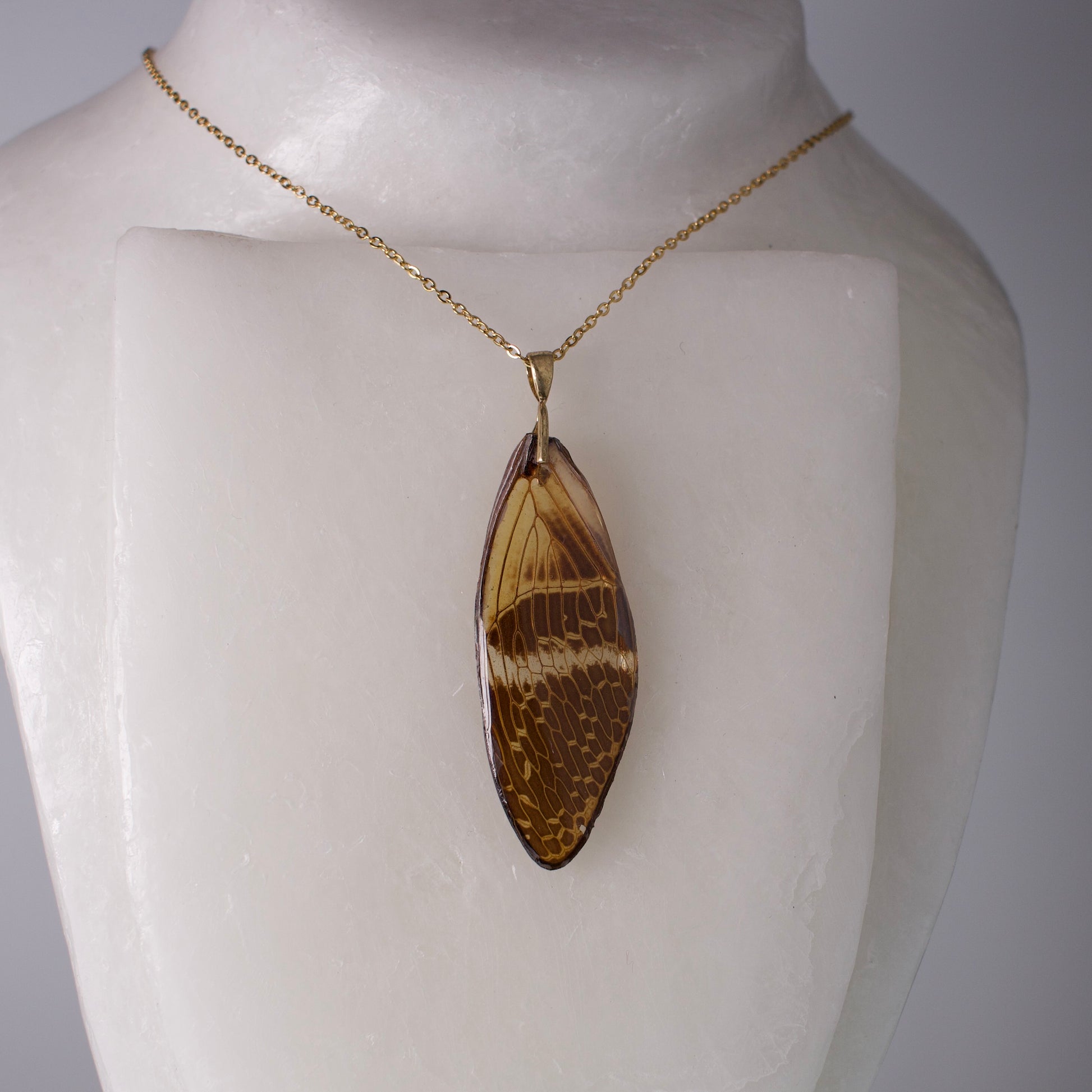 real cicada wing pendant Halloween cicadas gold necklace on wax form