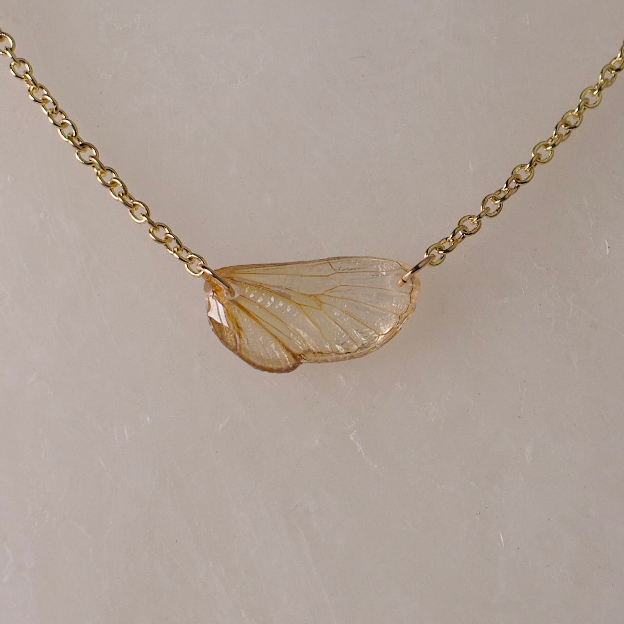 real cicada wing pendant Pharaoh cicadas magicicada septendecim gold necklace close up on wax
