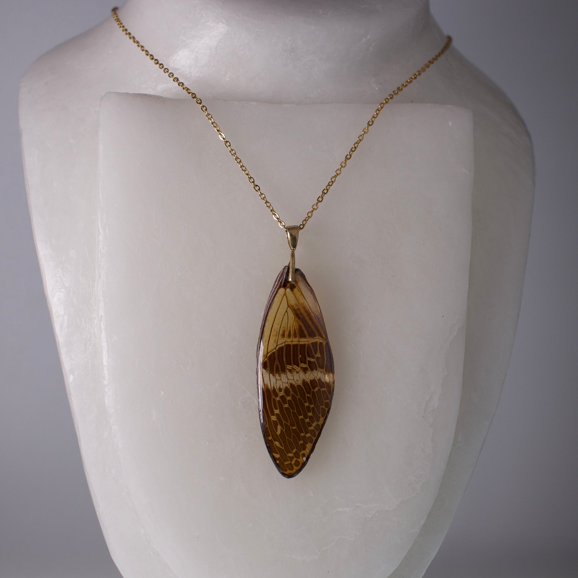 real cicada wing pendant coconut Halloween cicadas gold necklace on mannequin