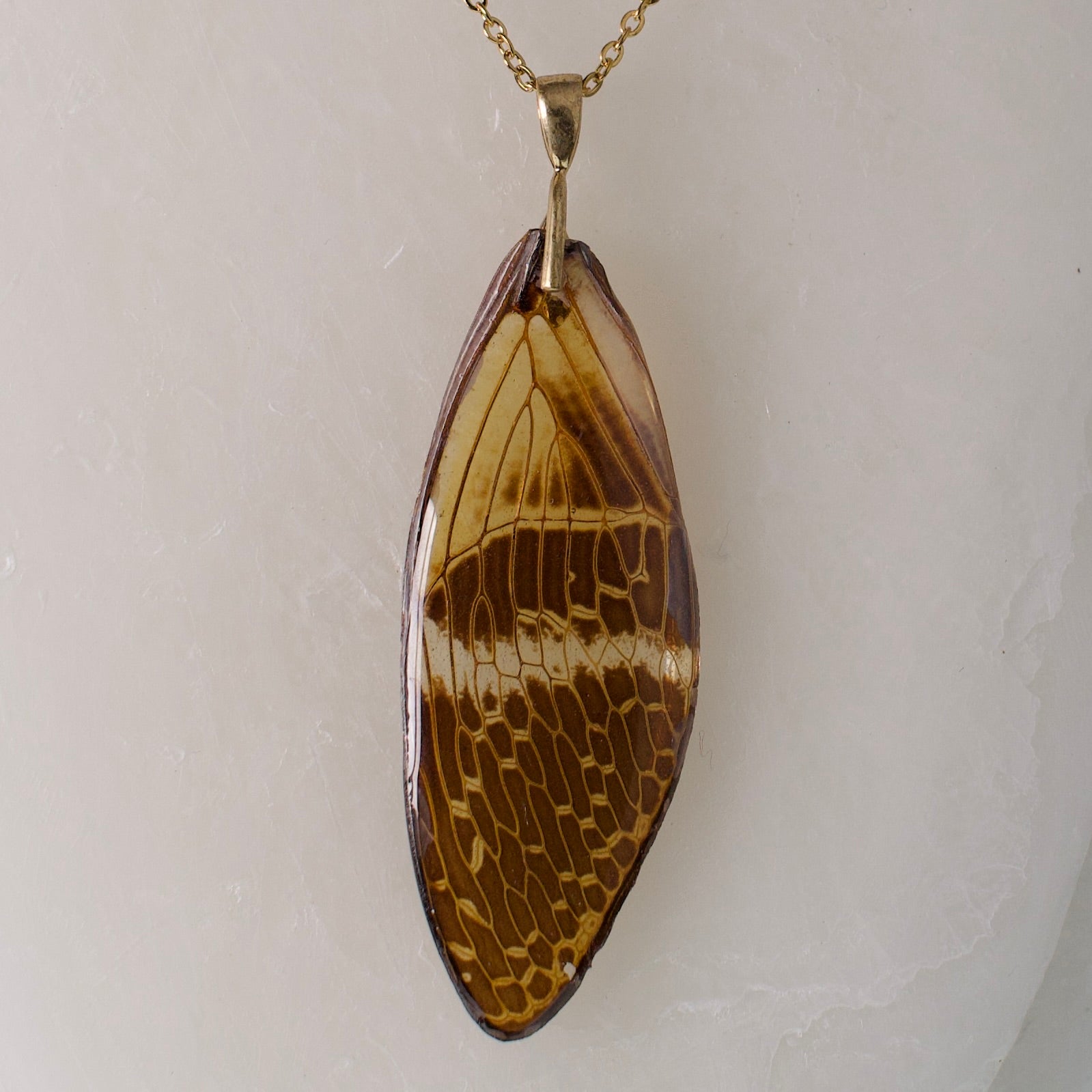 real cicada wing pendant coconut cicadas gold leaf bail on wax background