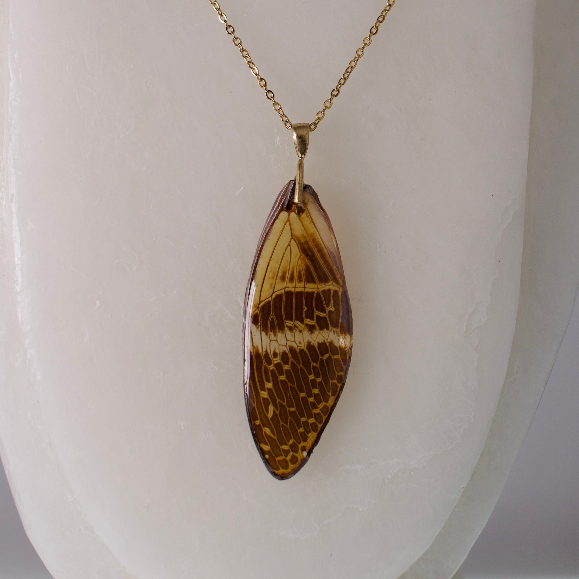 real cicada wing pendant coconut Halloween cicadas gold necklace on wax form