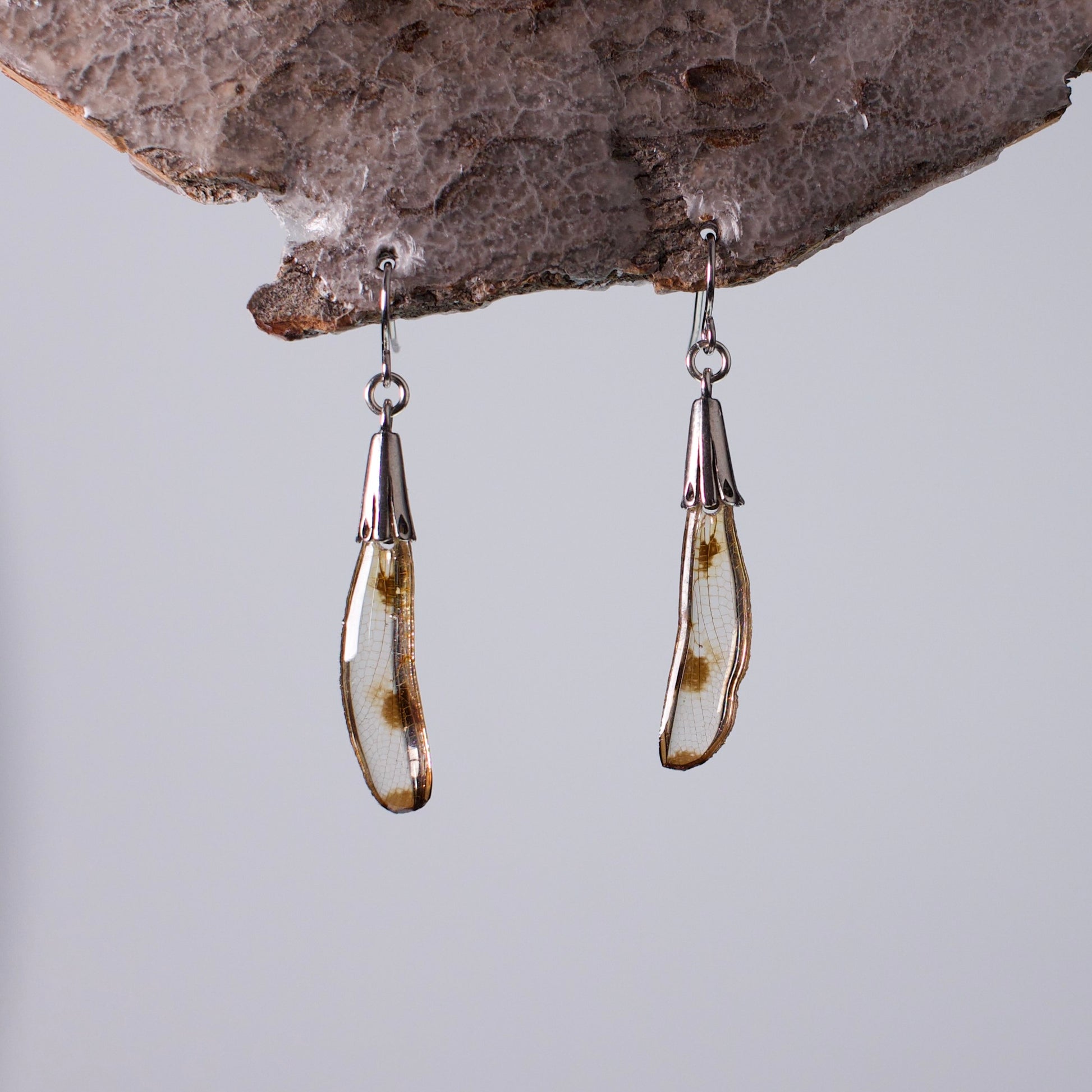 real dragonfly earrings long silver earring woodsy hanger white background