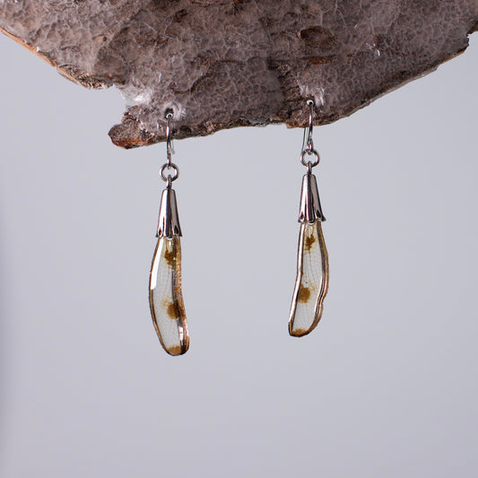 real dragonfly earrings long silver earring woodsy hanger white background