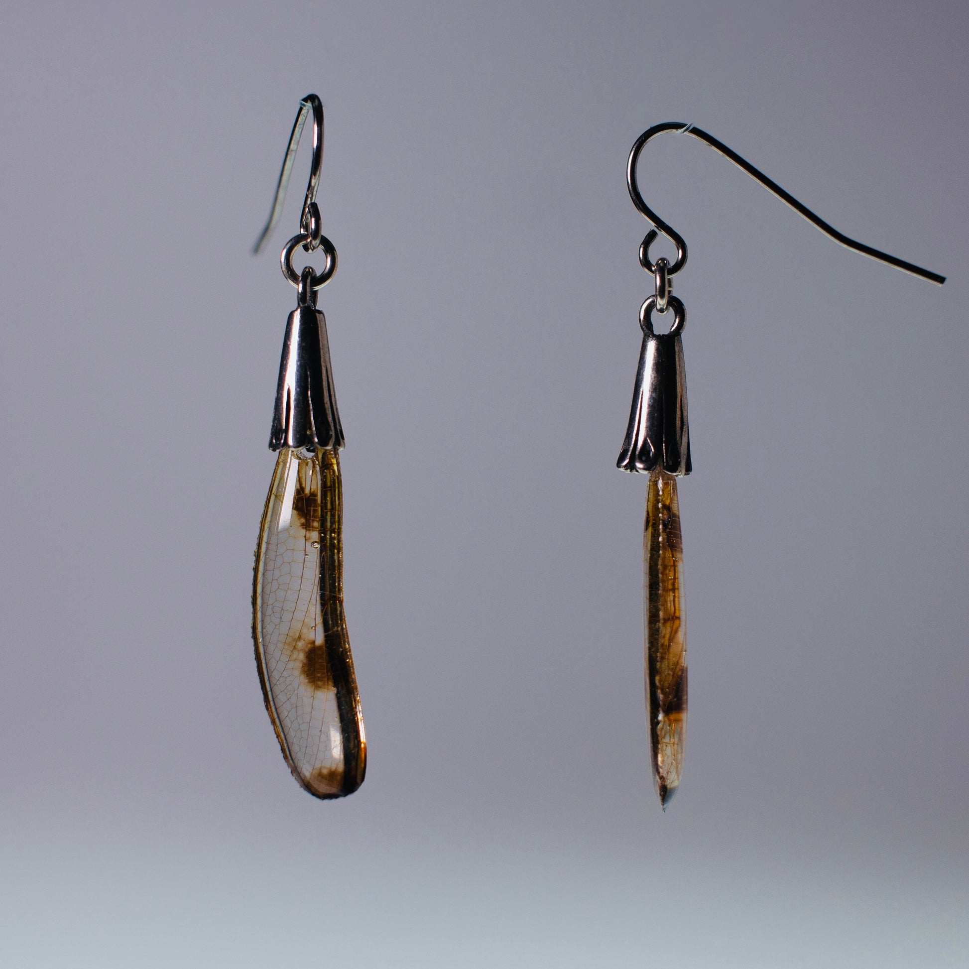 real dragonfly earring silver ear wire calico pennant dragonflies grey background