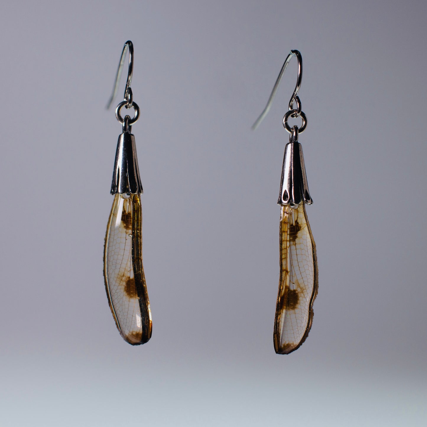 real dragonfly waterproof earrings silver earring gold wing on grey background