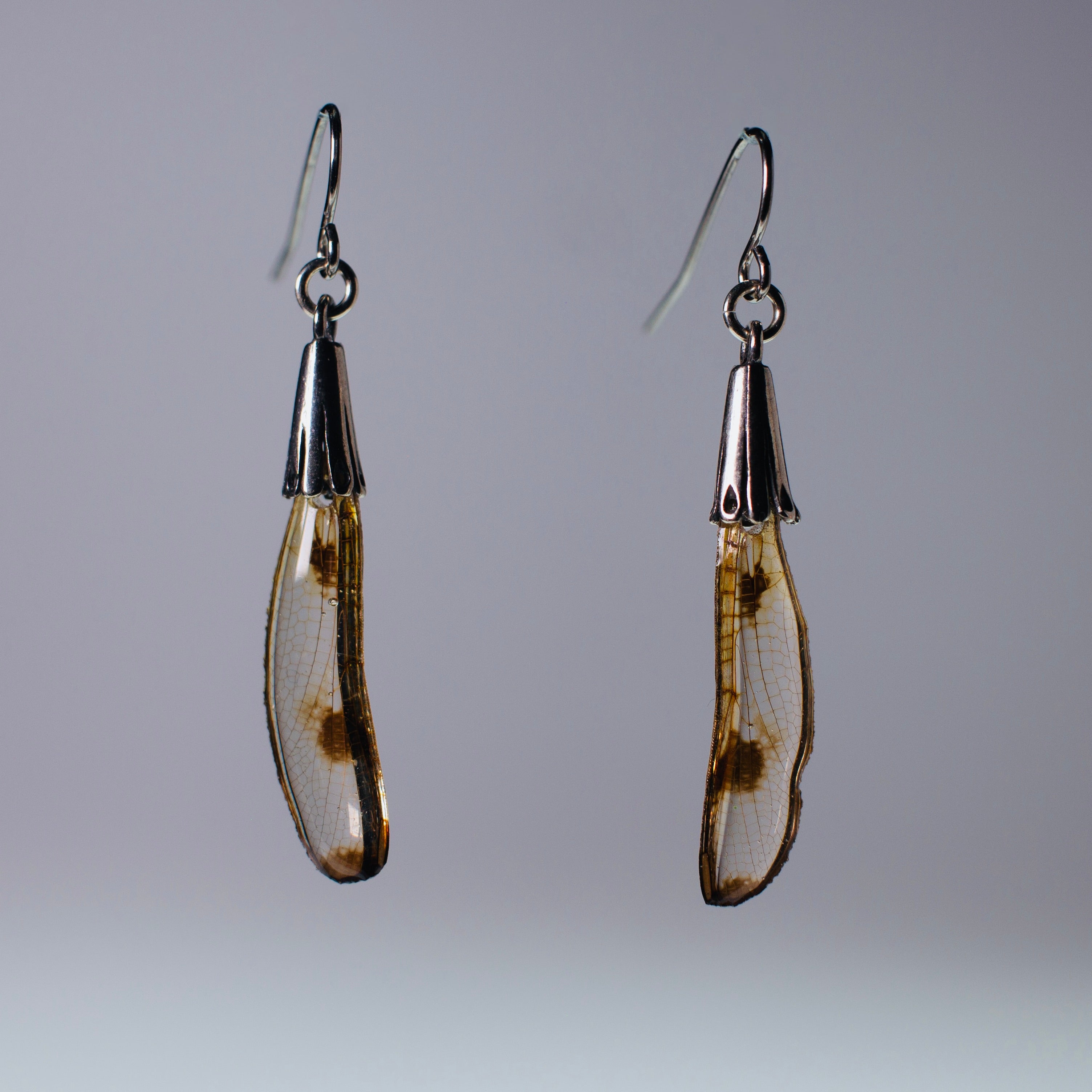 real dragonfly waterproof earrings silver earring gold wing on grey background