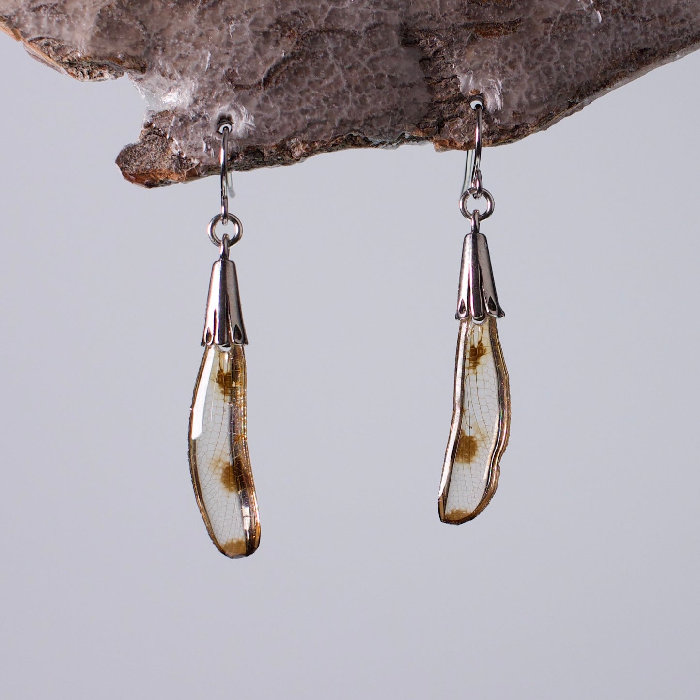 real dragonfly wing earrings sterling silver on waxed wood stand