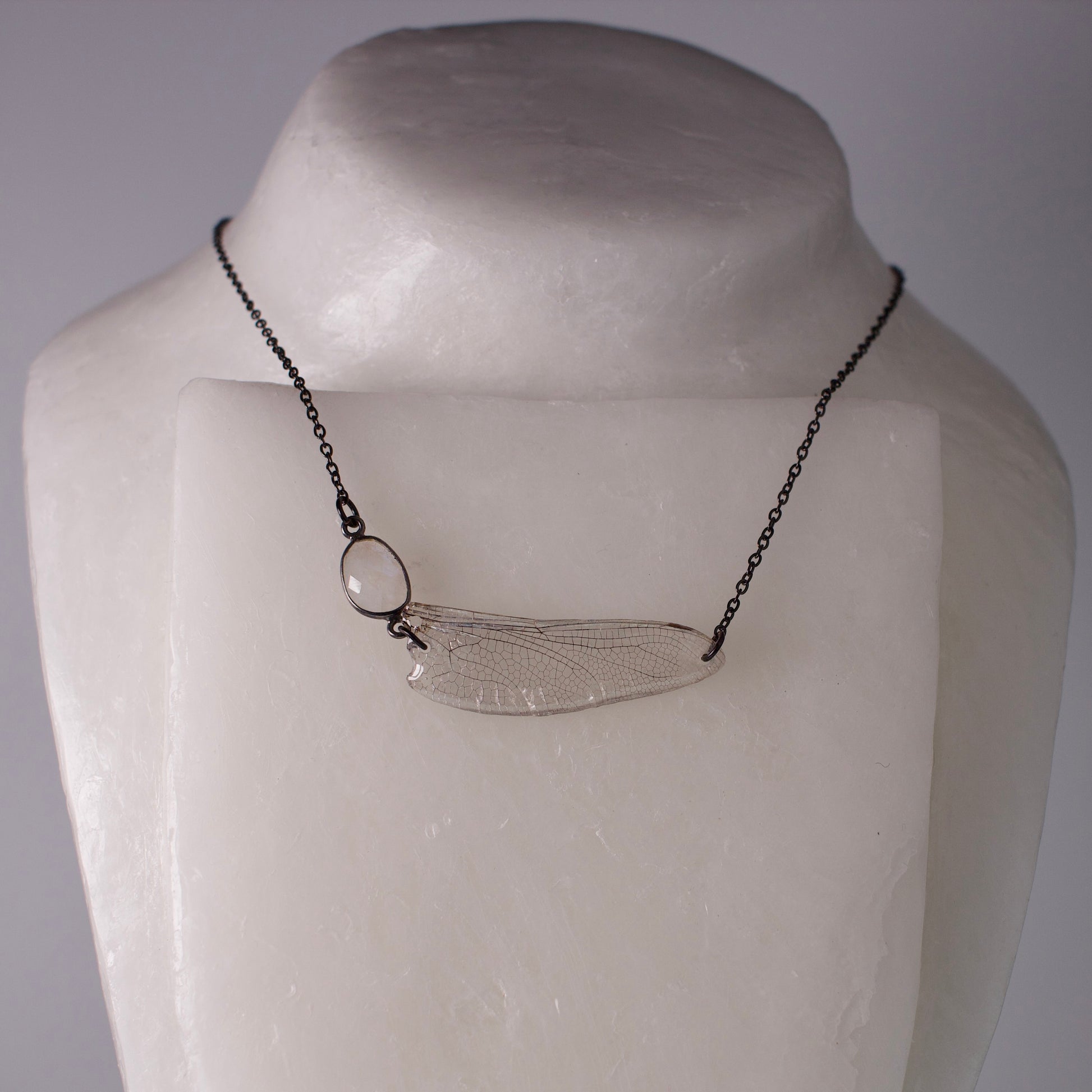 real dragonfly wing necklace common hawker dragonflies rainbow moonstone black steel chain necklace on mannequin