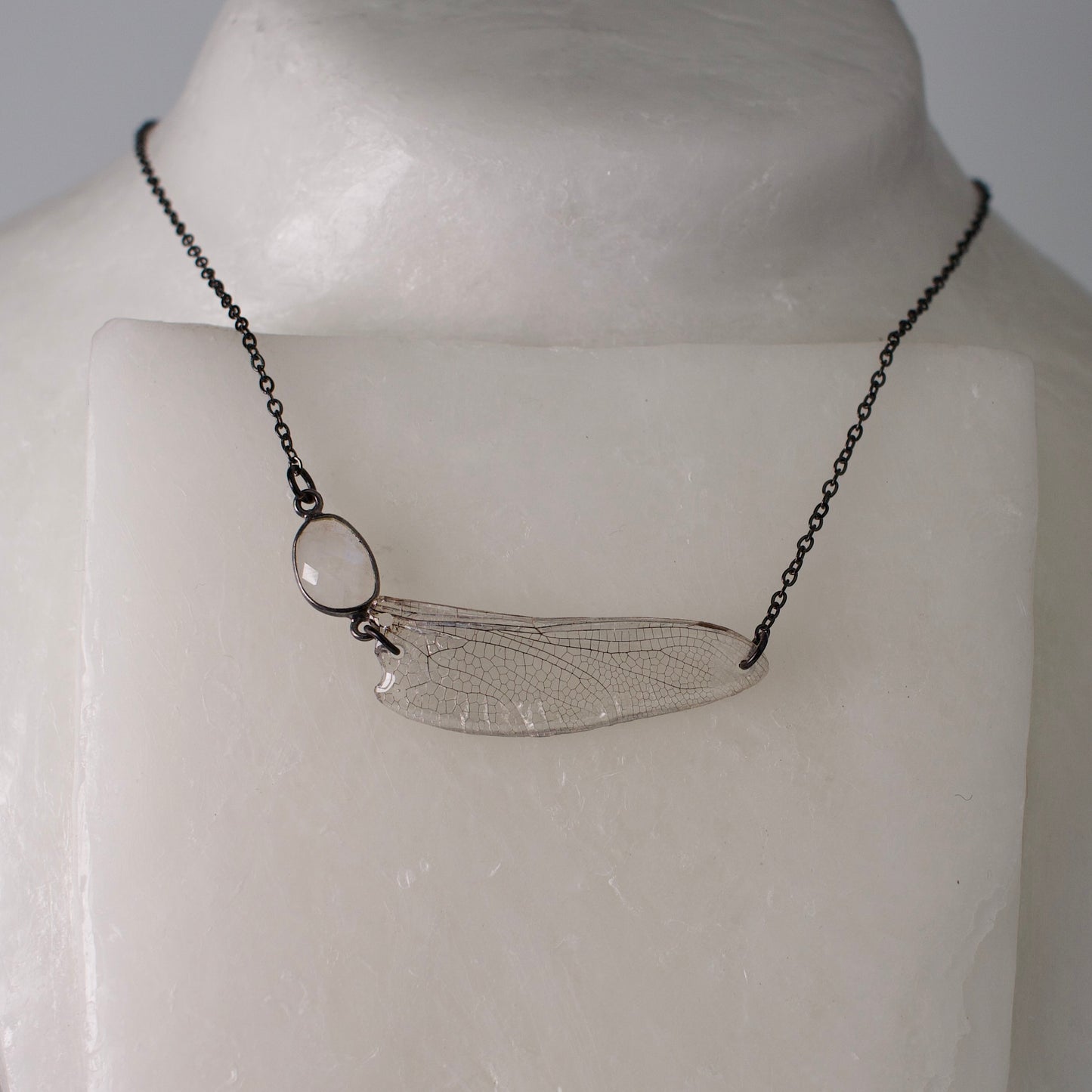real dragonfly wing necklace common hawker dragonflies rainbow moonstone black steel necklace on wax