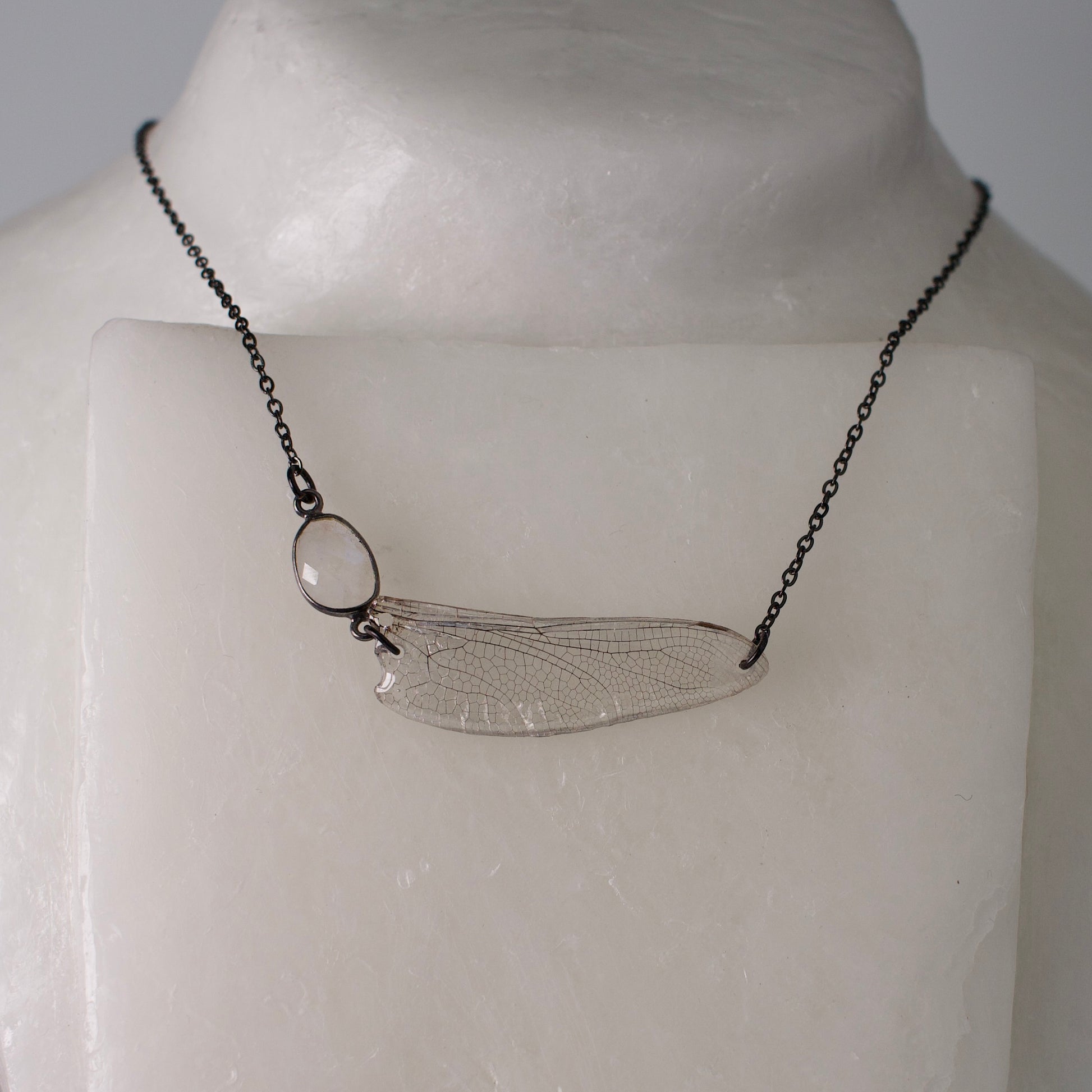 real dragonfly wing necklace common hawker dragonflies rainbow moonstone black steel necklace on wax