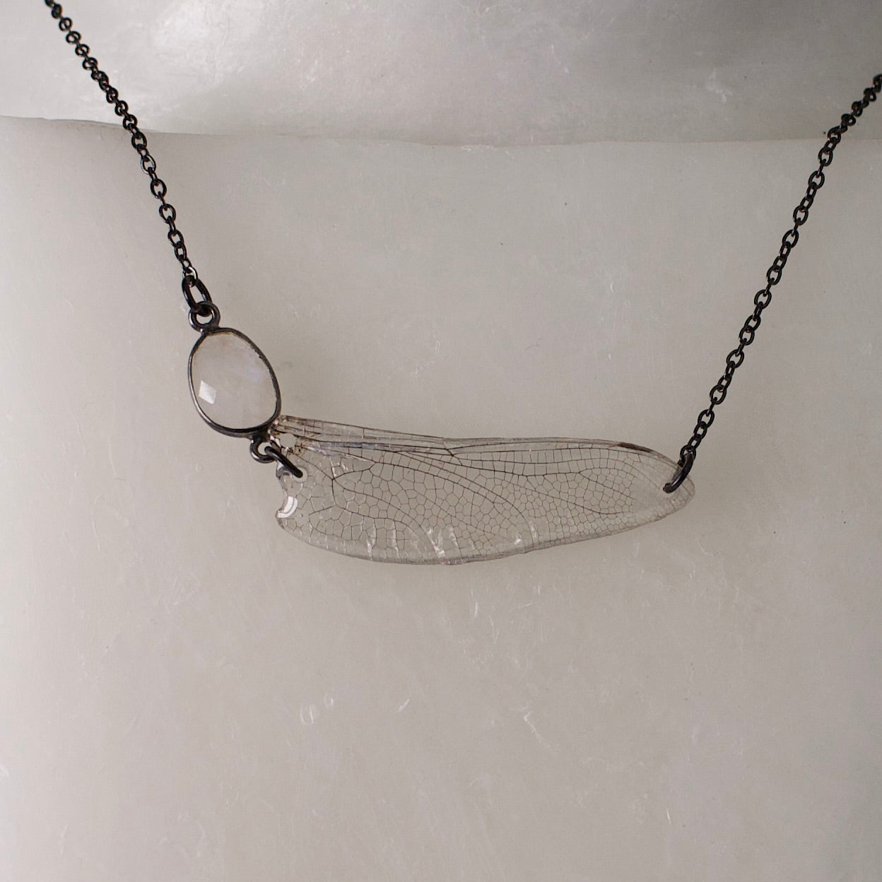 real dragonfly wing necklace common hawker dragonflies rainbow moonstone black steel necklace close up