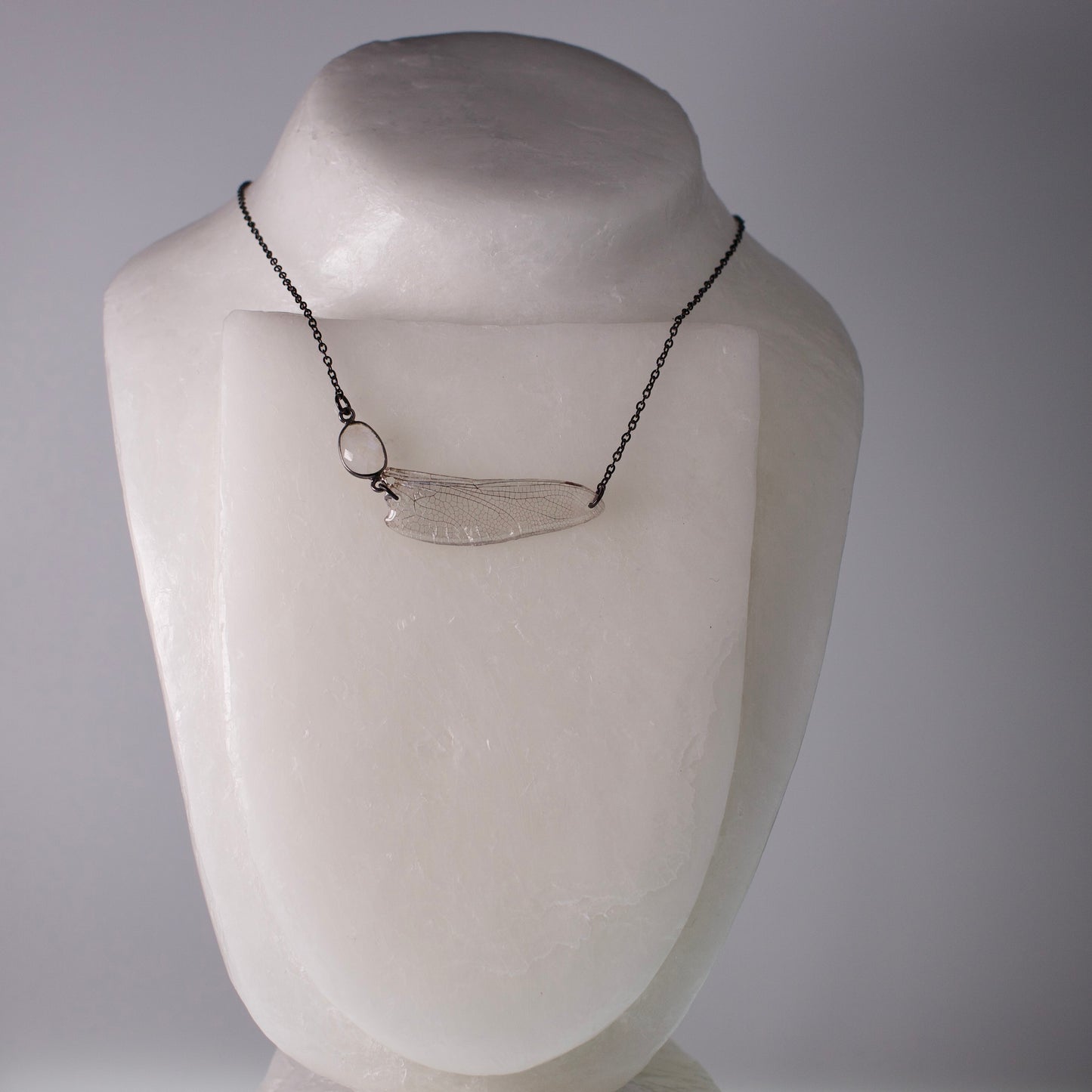real dragonfly wing necklace hawker dragonflies rainbow moonstone black steel chain necklace on neck form
