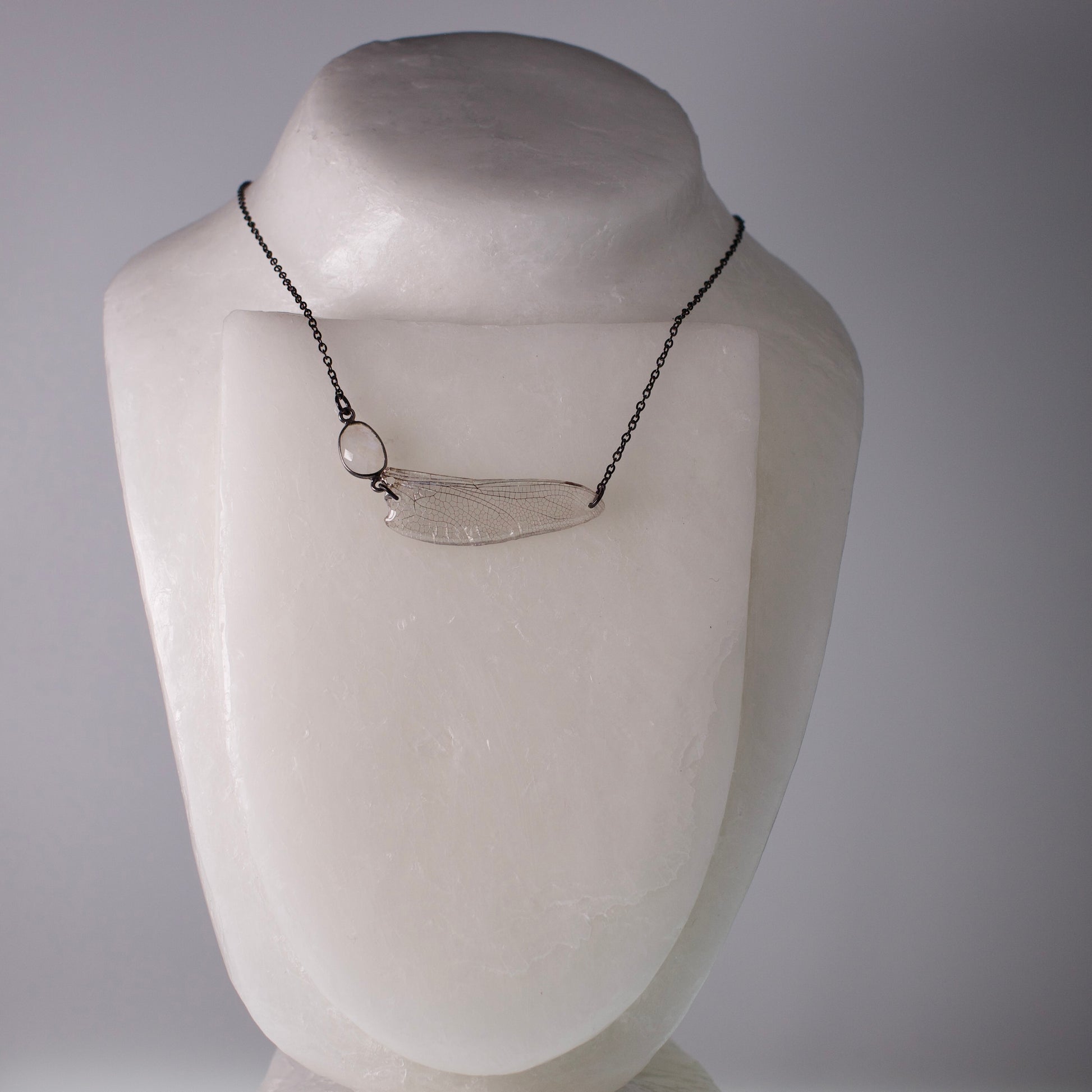 real dragonfly wing necklace hawker dragonflies rainbow moonstone black steel chain necklace on neck form