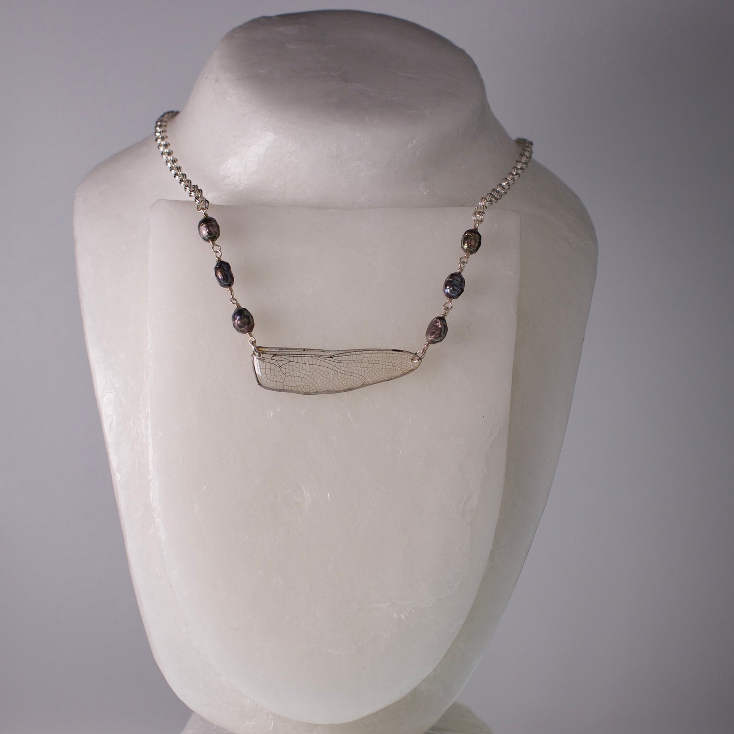 real dragonfly wing necklace iridescent pearls silver chain on wax from grey background