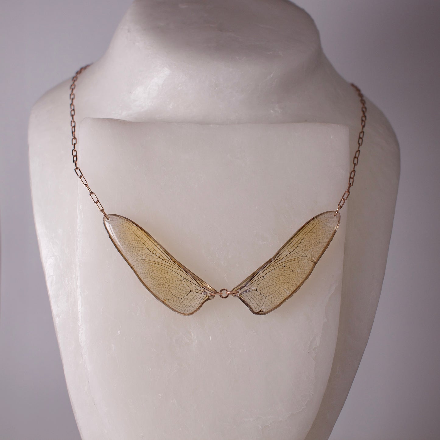 real dragonfly wing necklace set of two brown hawker dragonflies rose gold chain bottom wings on wax form