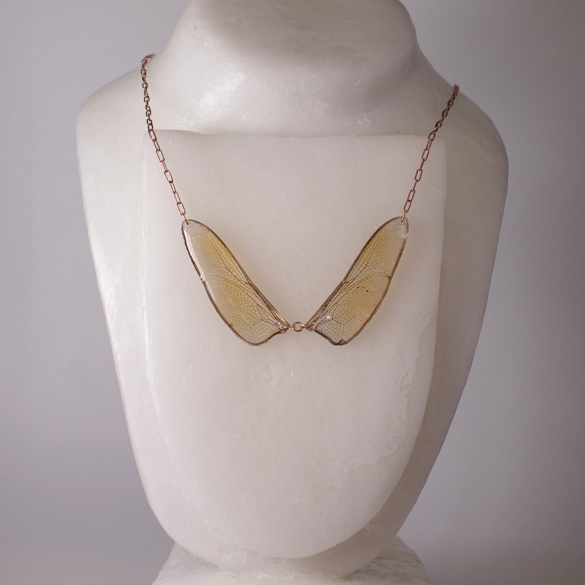 real dragonfly wing necklace set of two brown hawker dragonflies rose gold rectangle chain bottom wings on wax form