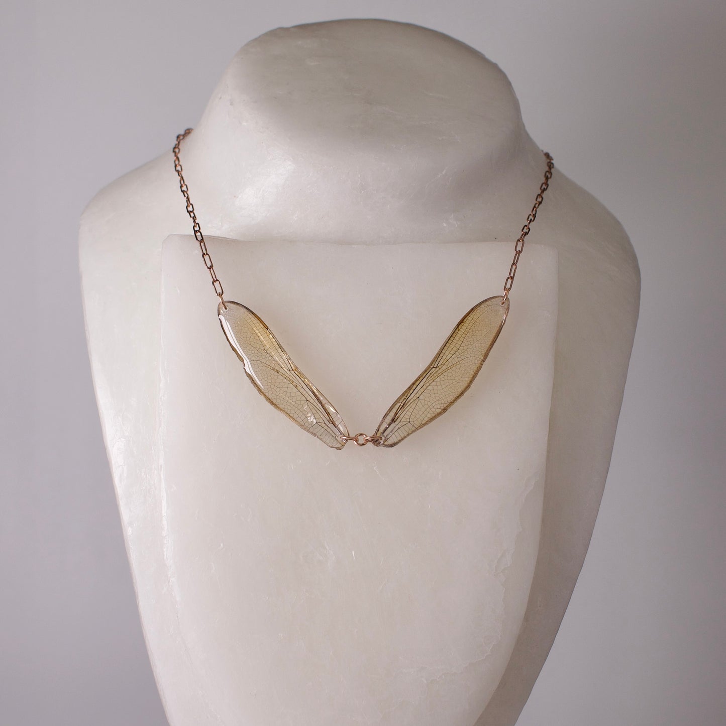 real dragonfly wing necklace set of two brown hawker dragonflies rose gold rectangle chain top wings