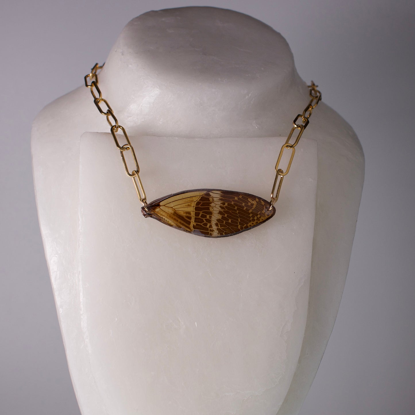 real giant cicada wing necklace 18k gold steel paperclip chain on wax mannequin