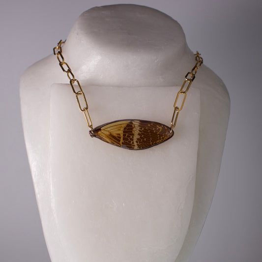 real giant cicada wing necklace 18k gold steel paperclip chain on wax mannequin