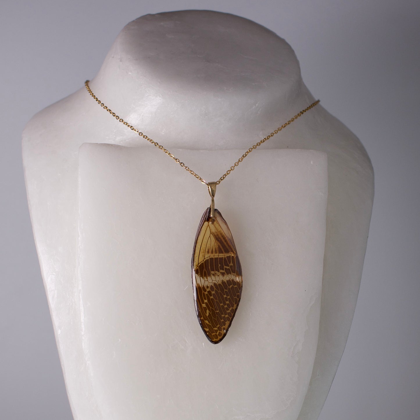 real giant cicada wing necklace down intricate pattern wing gold chain on wax form