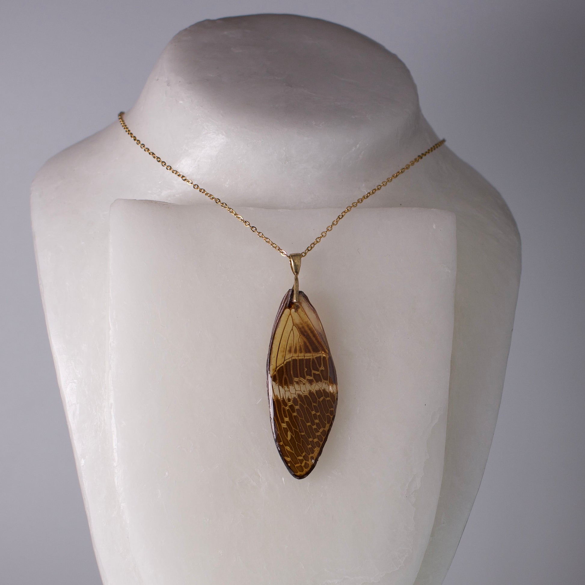 real giant cicada wing necklace down intricate pattern wing gold chain on wax form
