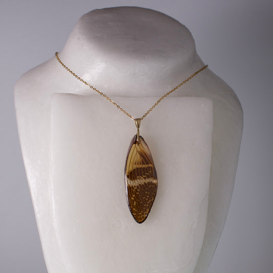 real giant cicada wing necklace down intricate pattern wing gold chain on wax form