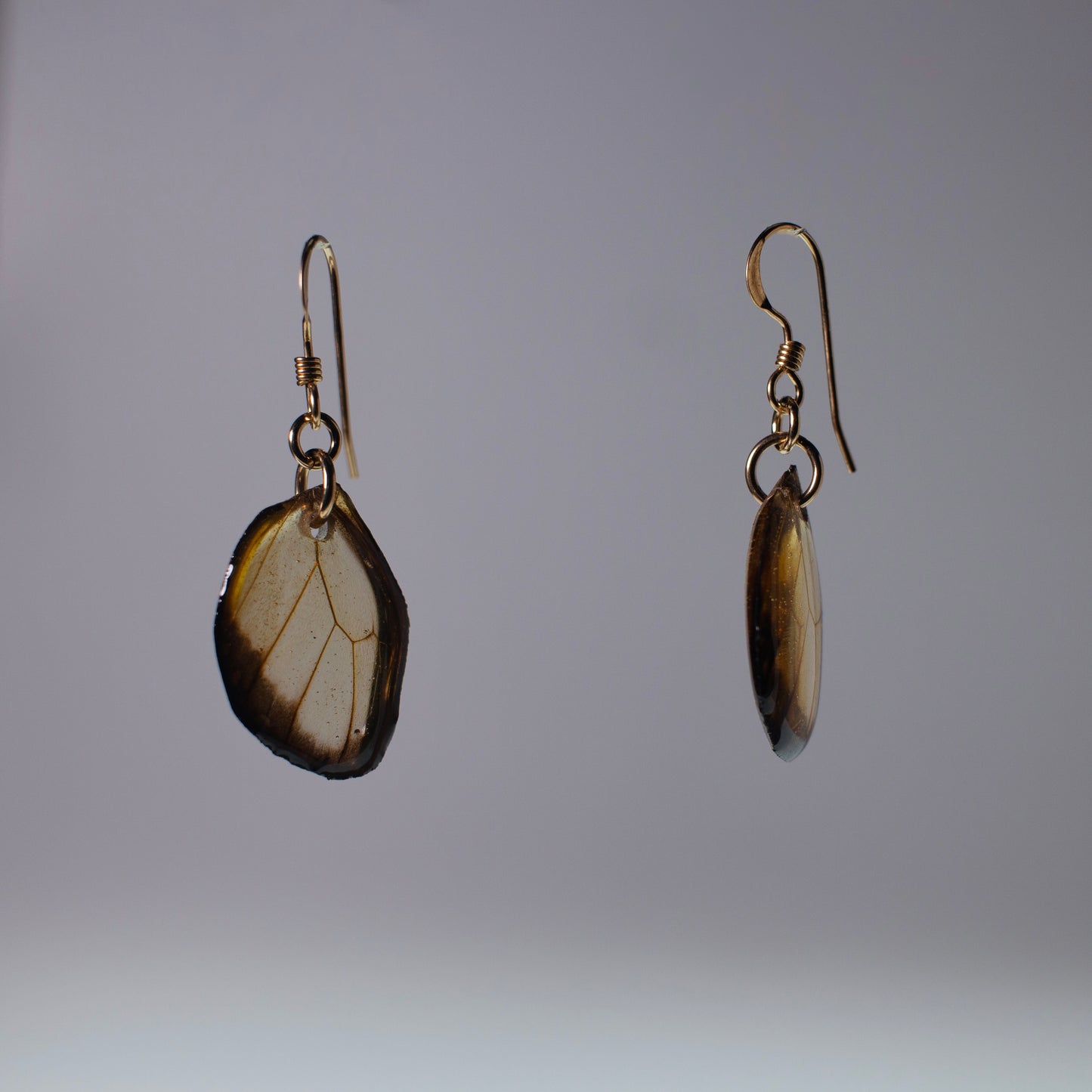 real glasswing butterfly earrings Greta oto butterflies gold French wire earring side view