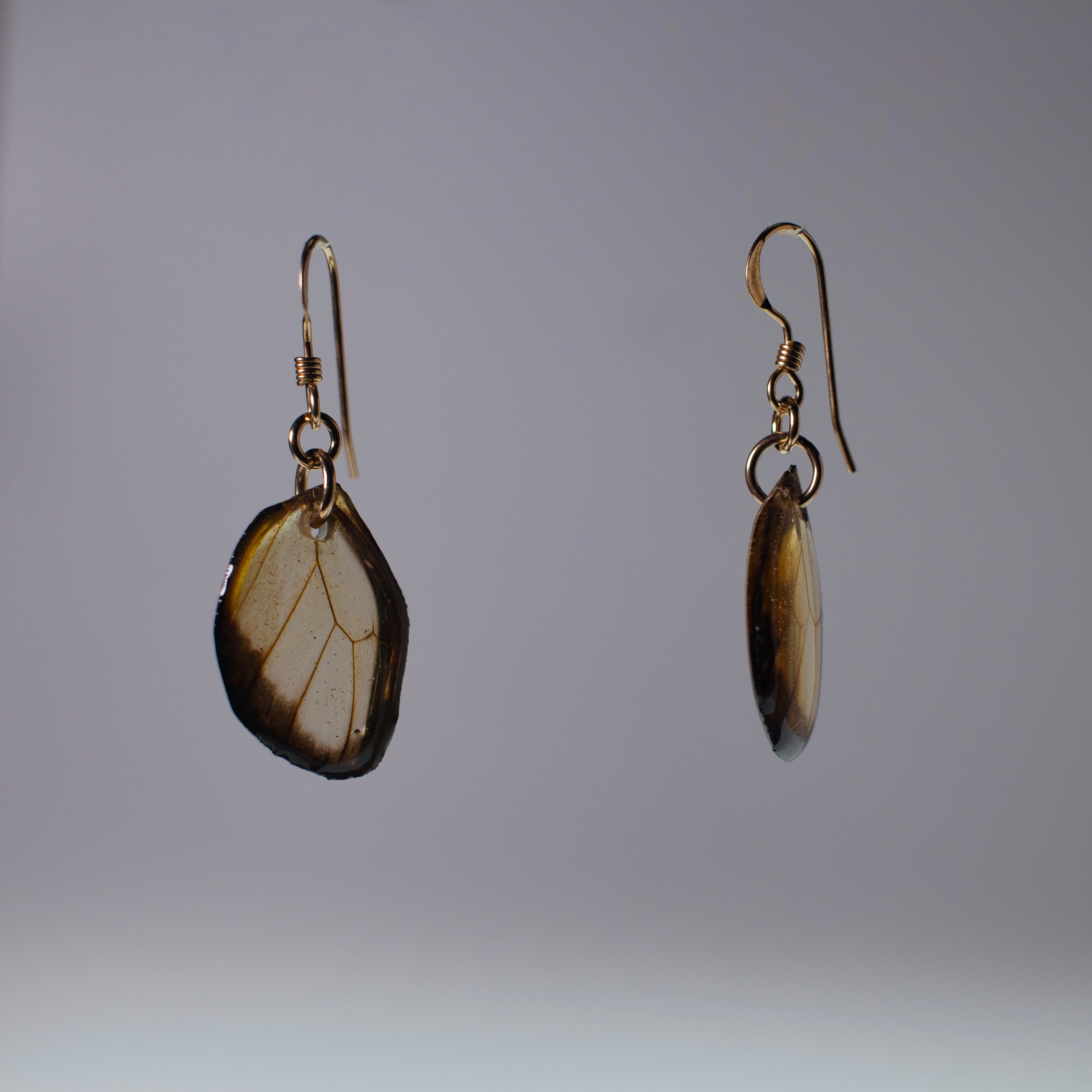real glasswing butterfly earrings Greta oto butterflies gold French wire earring side view