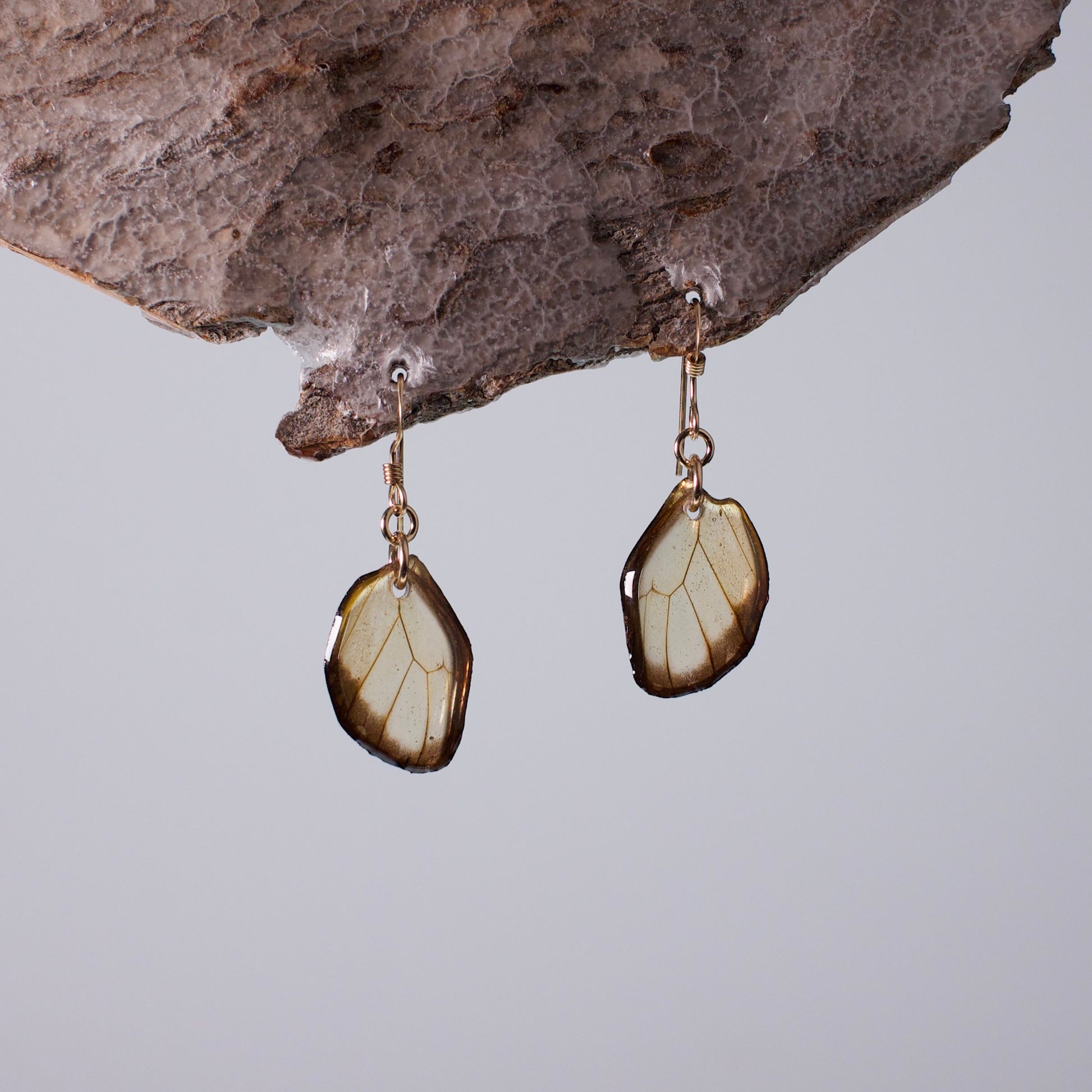 real glasswing butterfly earrings Greta oto butterflies gold earring on wood stand