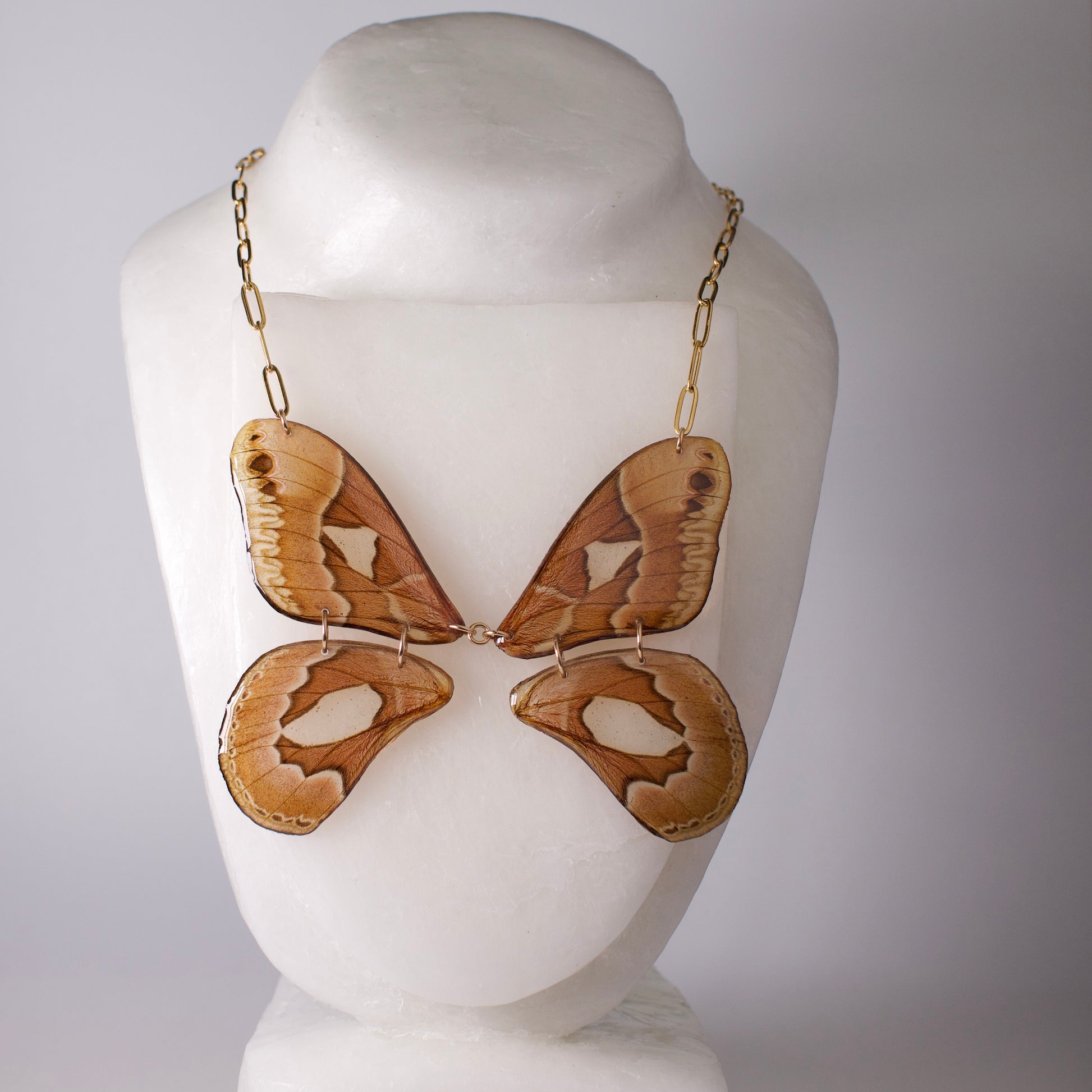 real moth necklace Brazilian silk moths gold paperclip chain on mannequin