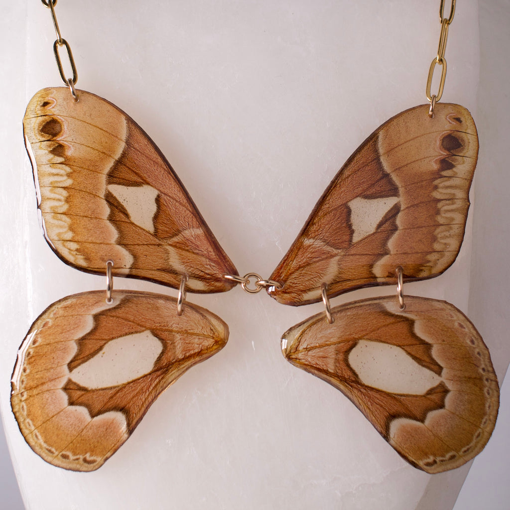 real moth necklace Rothschildia jacobaeae silk moths gold paperclip chain on mannequin