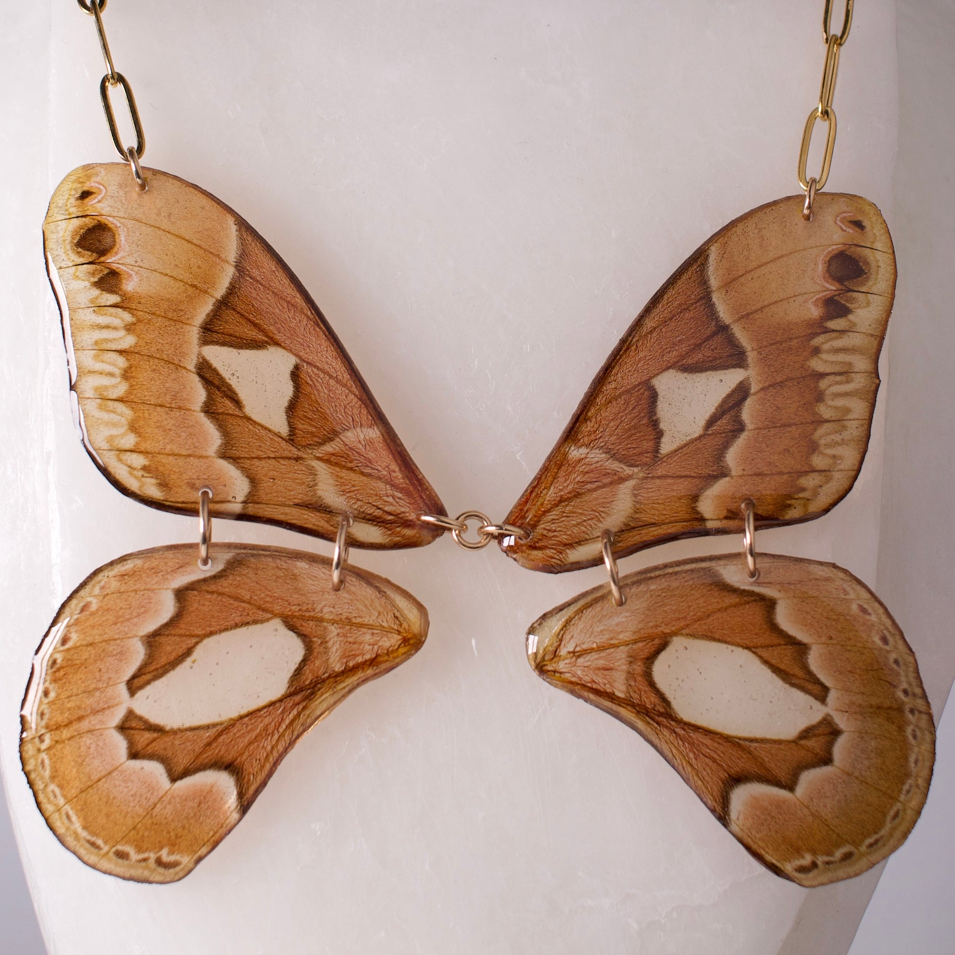 real moth necklace Rothschildia jacobaeae silk moths gold paperclip chain on mannequin