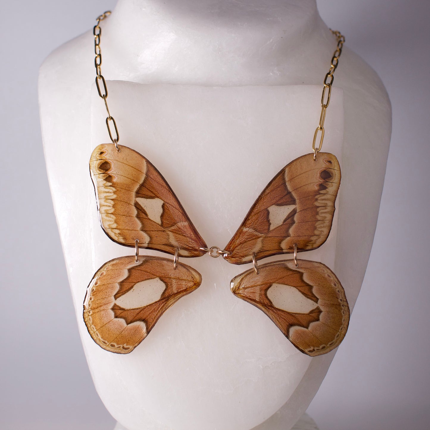 real moth necklace silk moths gold paperclip chain on mannequin