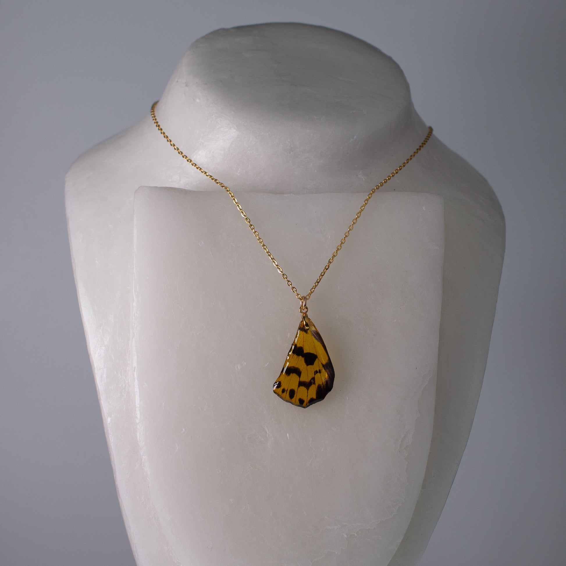 real moth pendant yellow and black moths gold necklace on white wax form