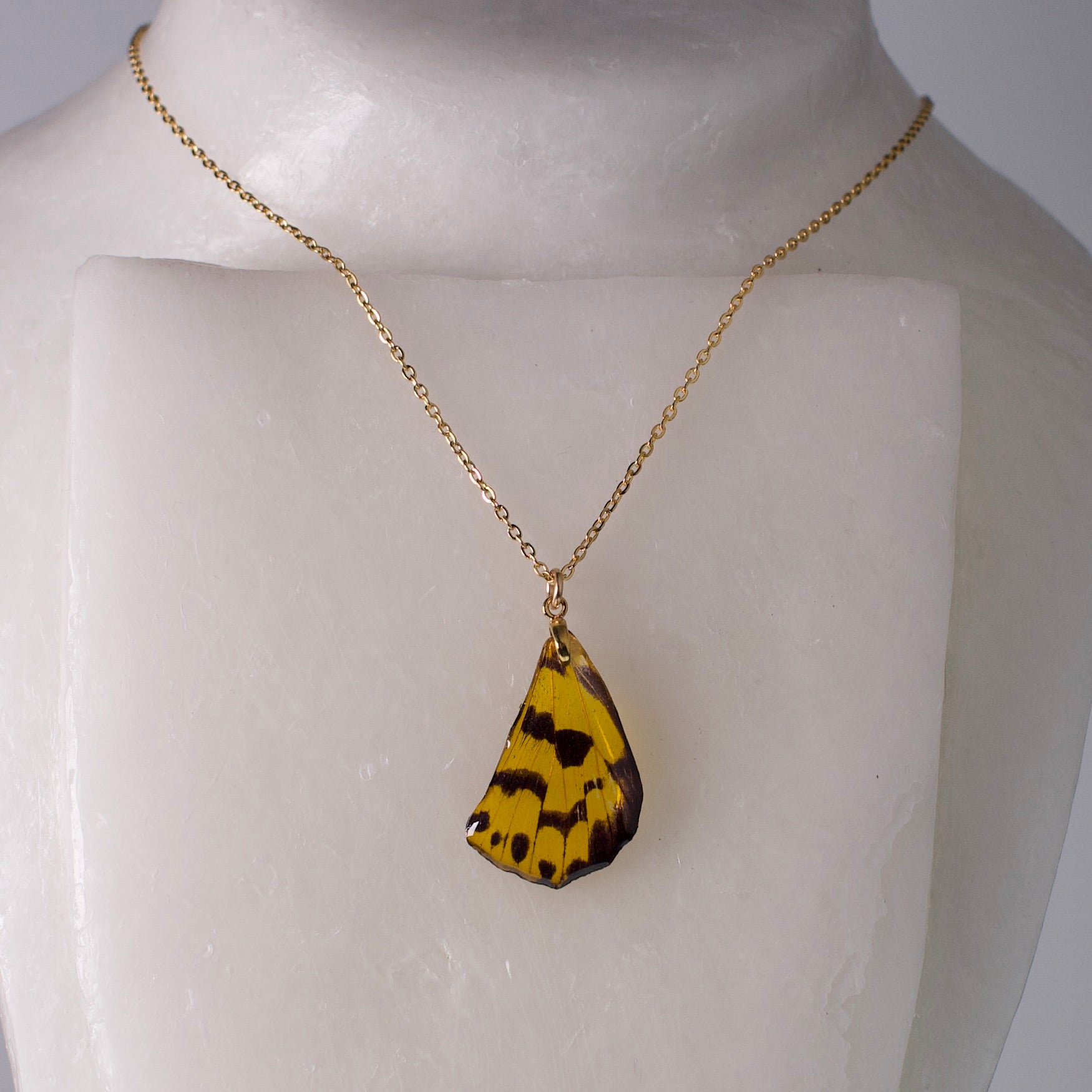 real moth pendant false tiger moths gold necklace on wax form