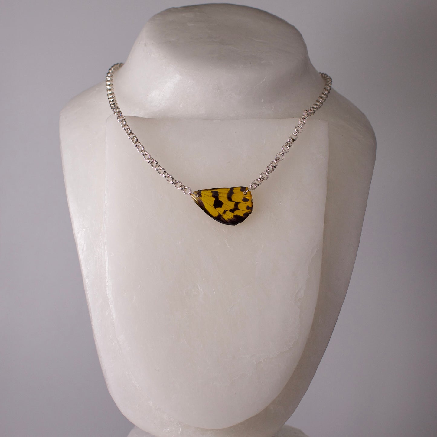 real moth wing pendant yellow black false tiger moths silver double link chain necklace on mannequin