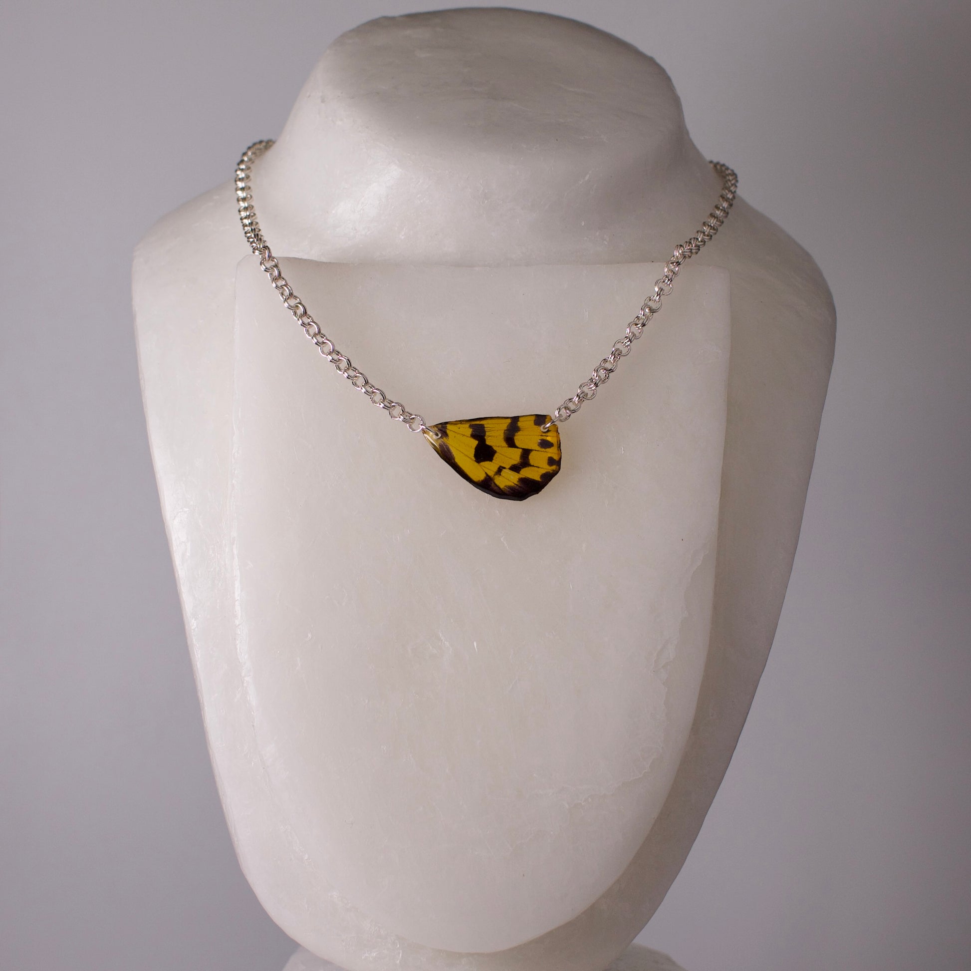 real moth wing pendant yellow black false tiger moths silver double link chain necklace on mannequin