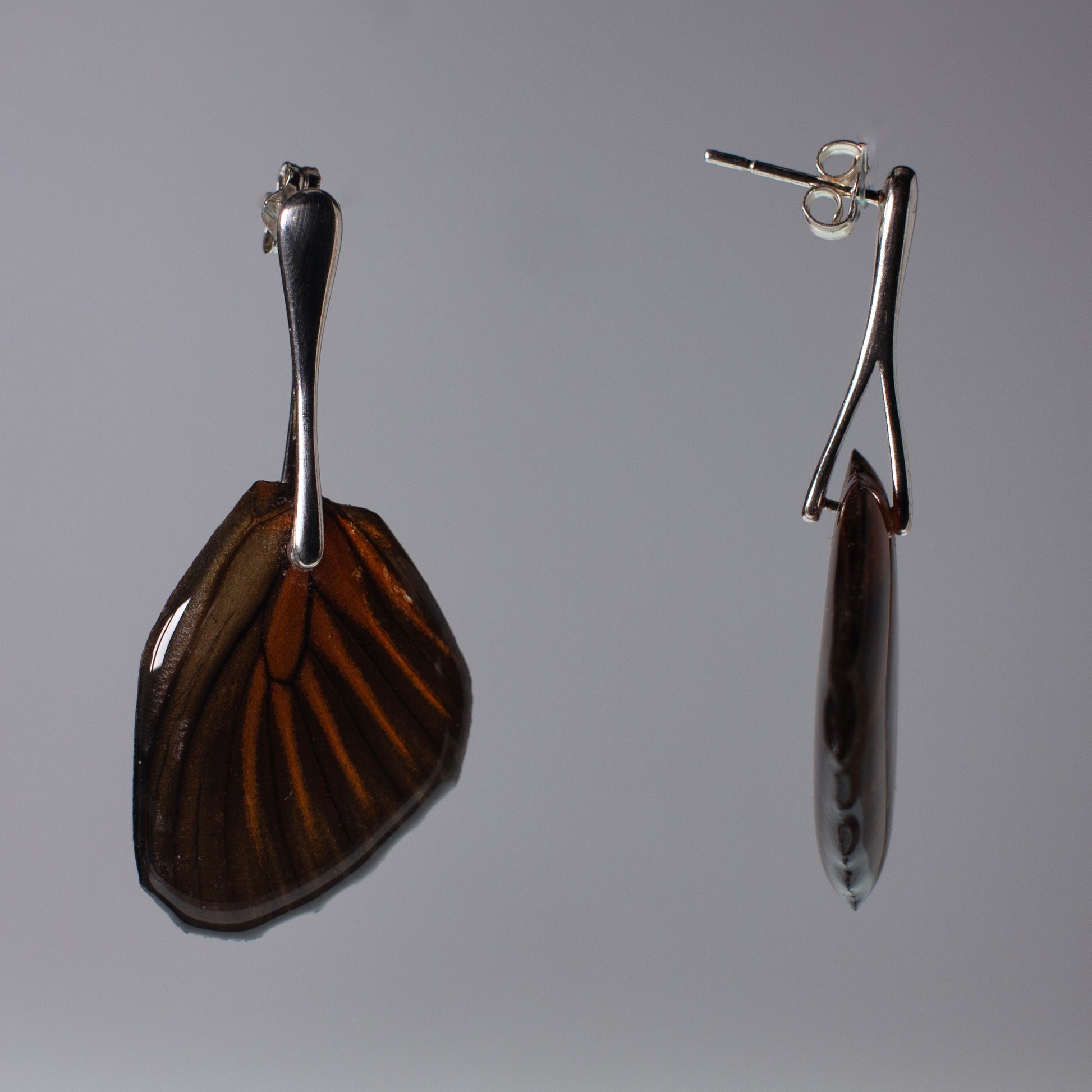 real moth wing earring Chetone Chetone Tiger Moths Silver drop stud earrings side view