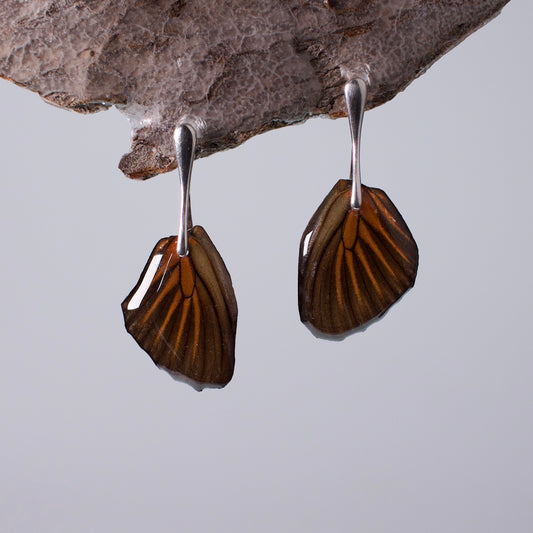 real moth wing earring Chetone Tiger Moths Silver drop stud earrings on wood stand