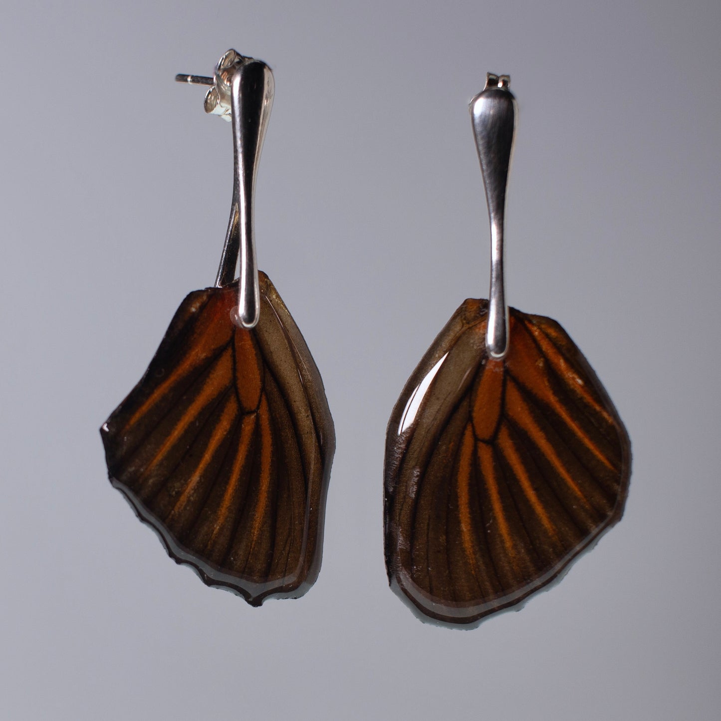 real moth wing earring Chetone Tiger Moths Silver long post earrings 