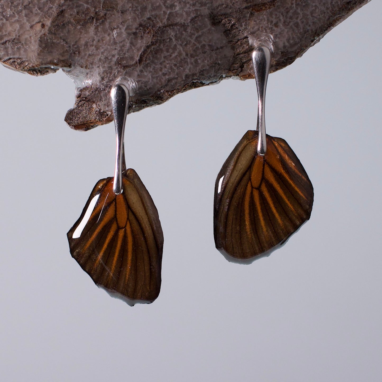 real moth wing earring Tiger Moths Silver drop stud earrings on wood stand