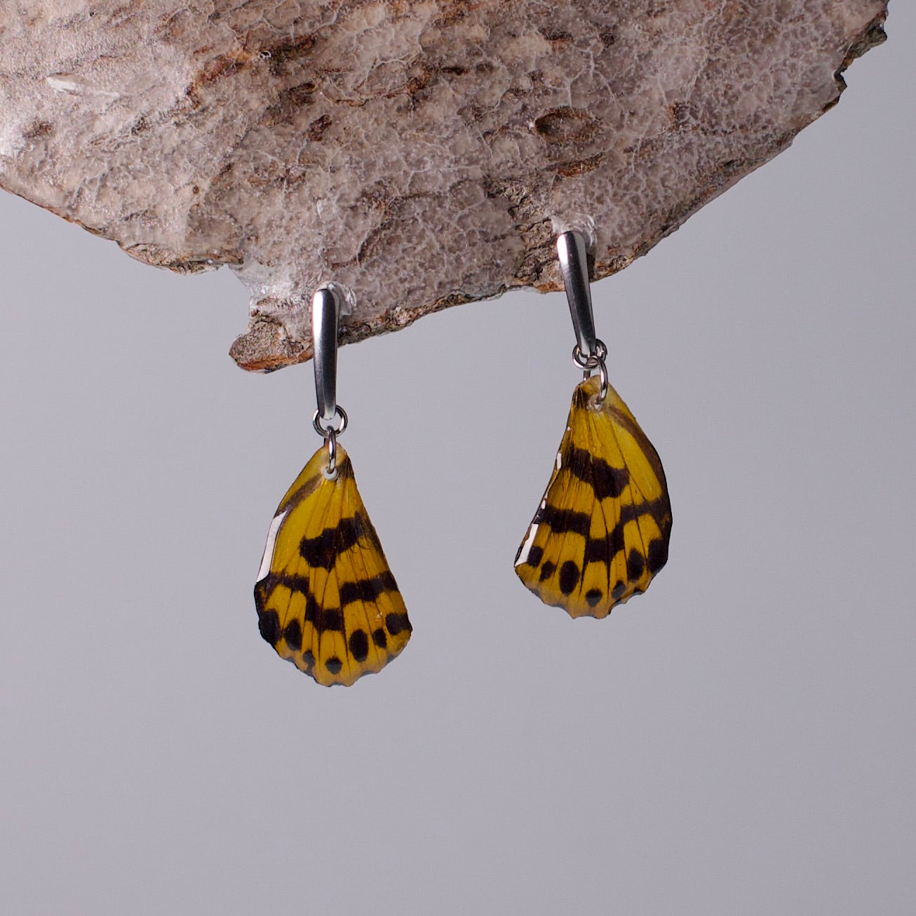 real moth wing earring yellow black false tiger moths silver
