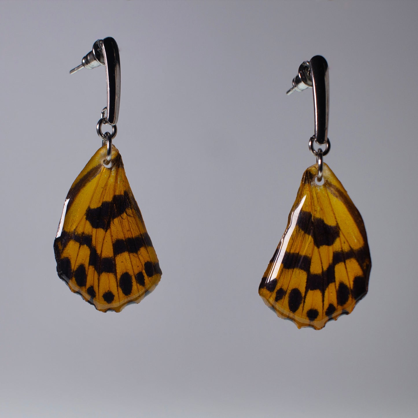 real moth wing earring yellow black false tiger moths steel