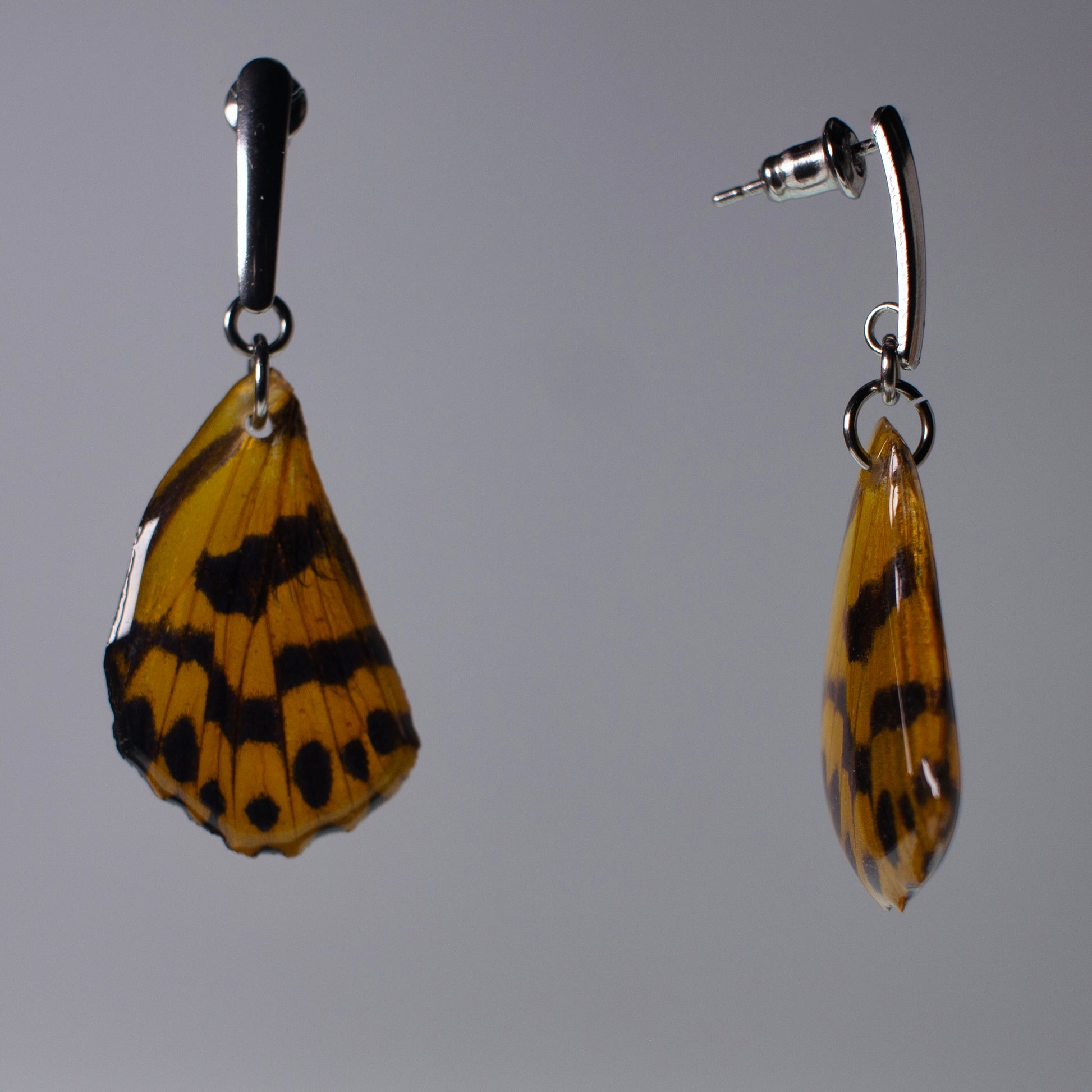 real moth wing earring yellow black false tiger moths steel side view