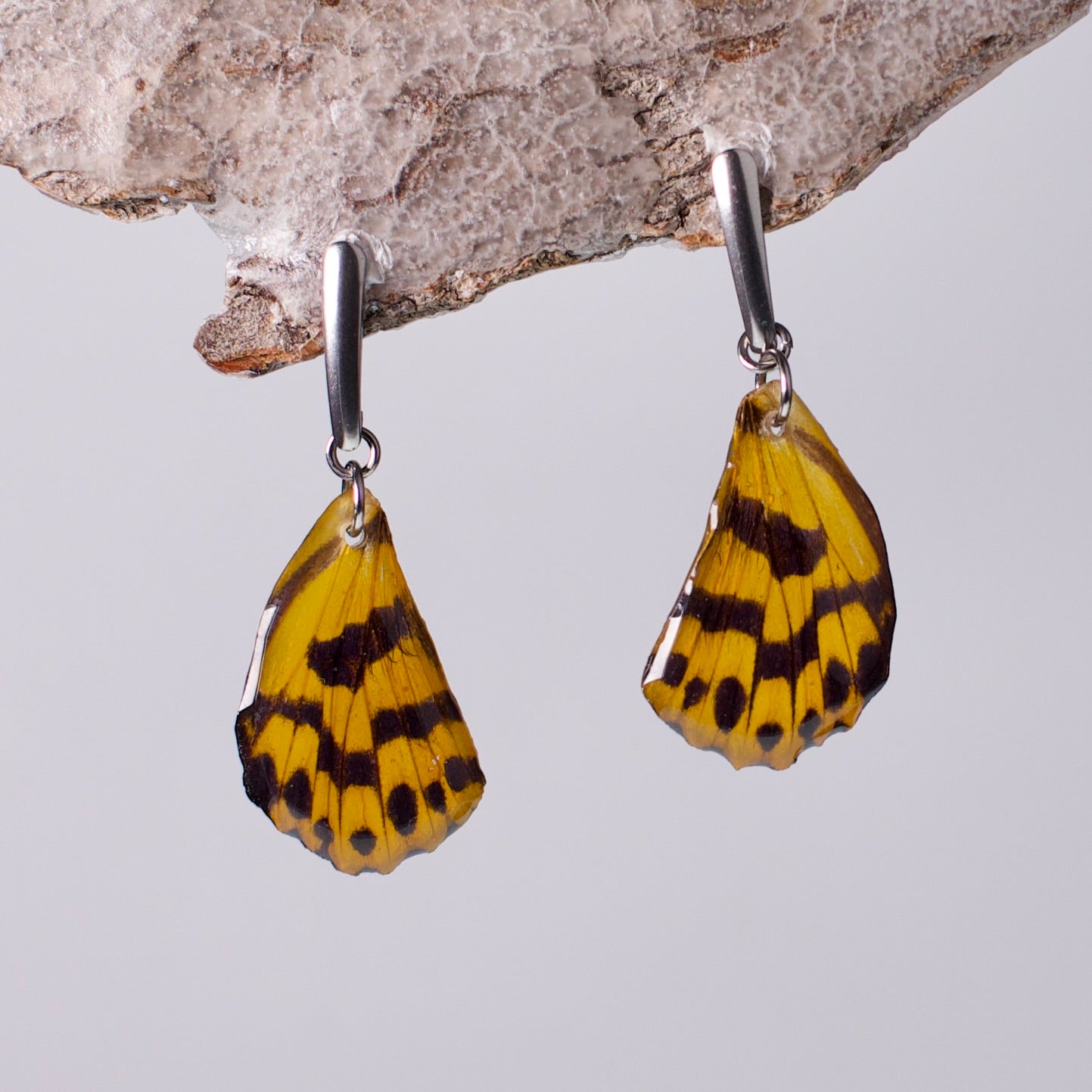 real moth wing earring yellow black tiger moths silver on wood stand
