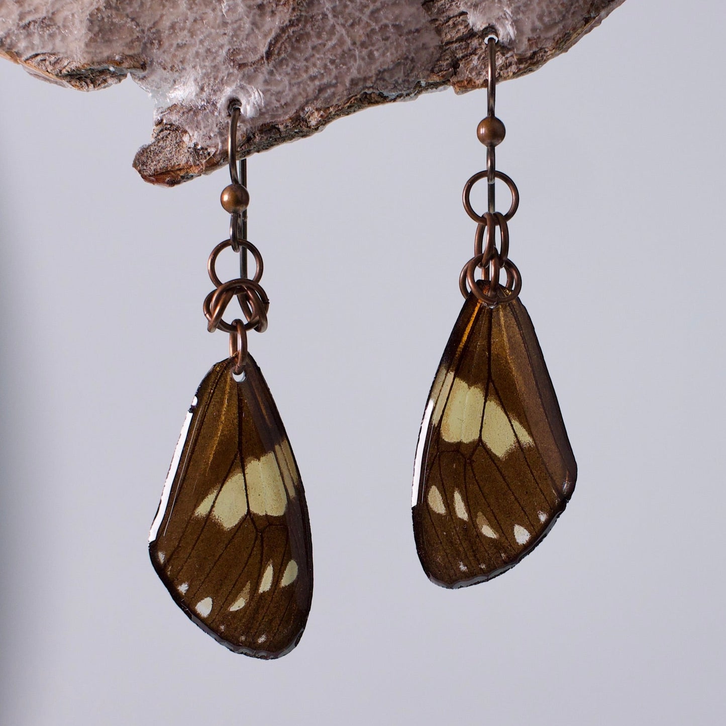 real moth wing earrings Chetone phyleis moths niobium copper chainmail French ear hooks on wood stand