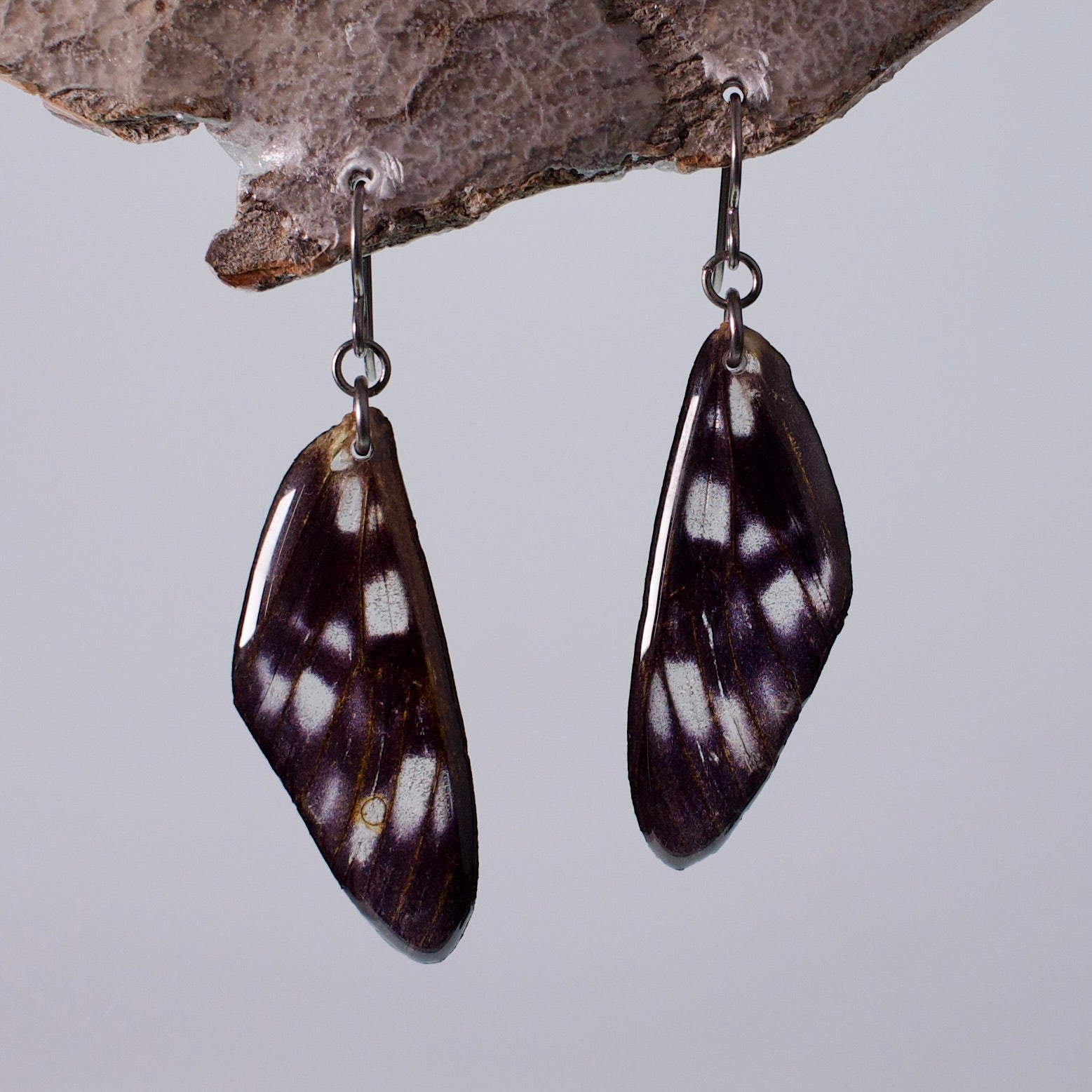 real moth wing earrings false tiger moths black niobium earring on wood stand