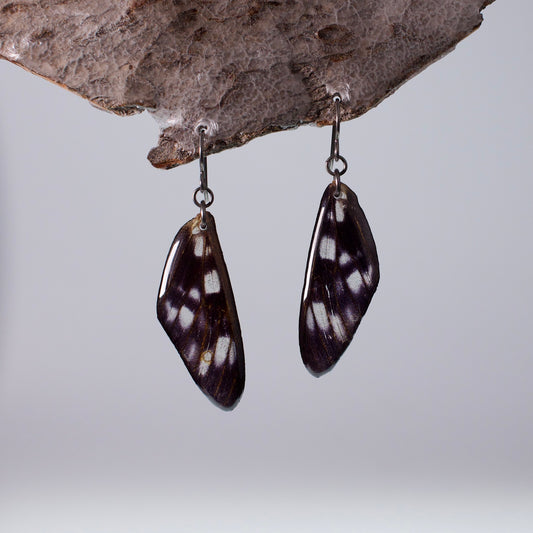 real moth wing earrings tiger moths black niobium French hook earring  on wood stand